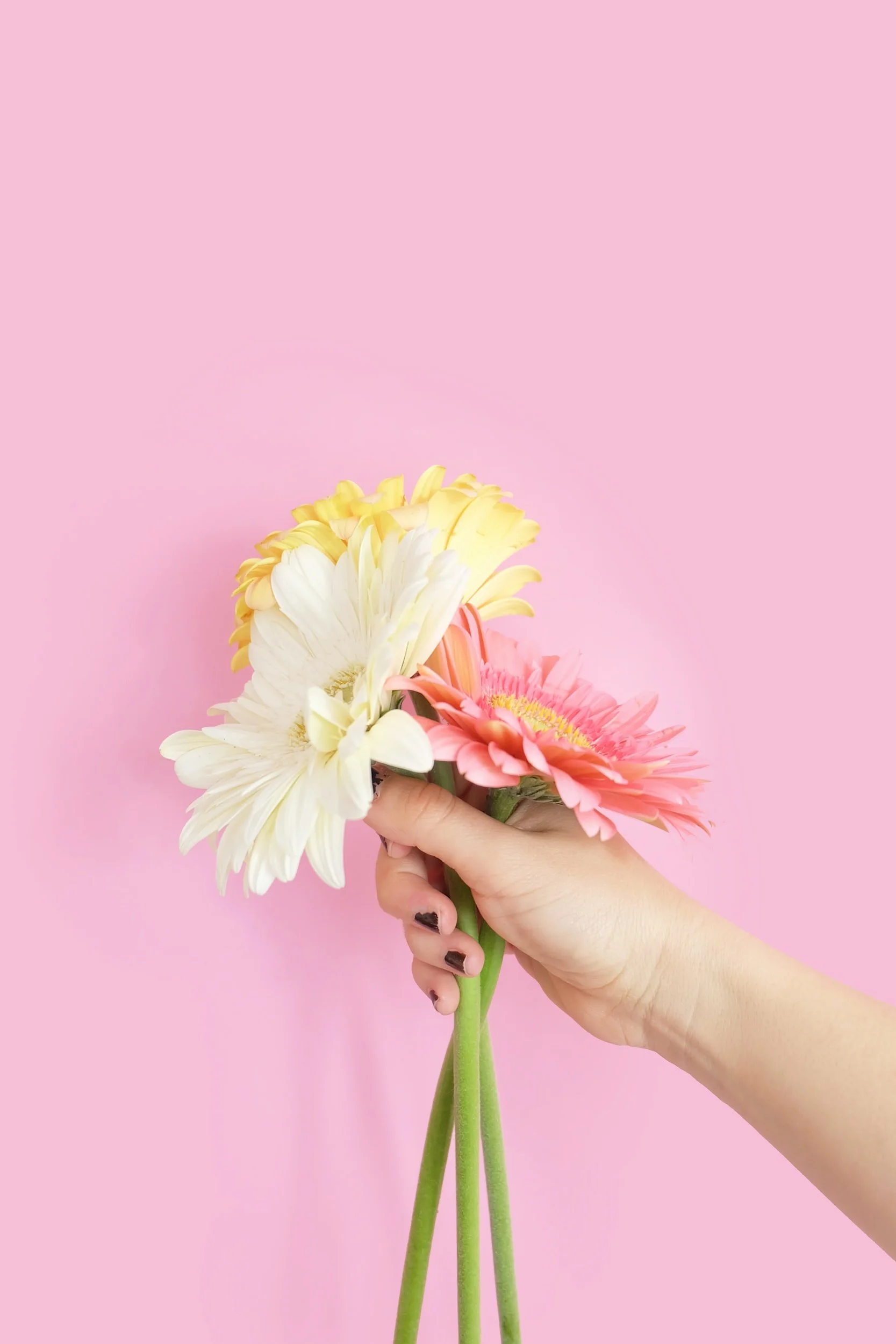 unsplash-image-DGQNKg5sAeY.jpg