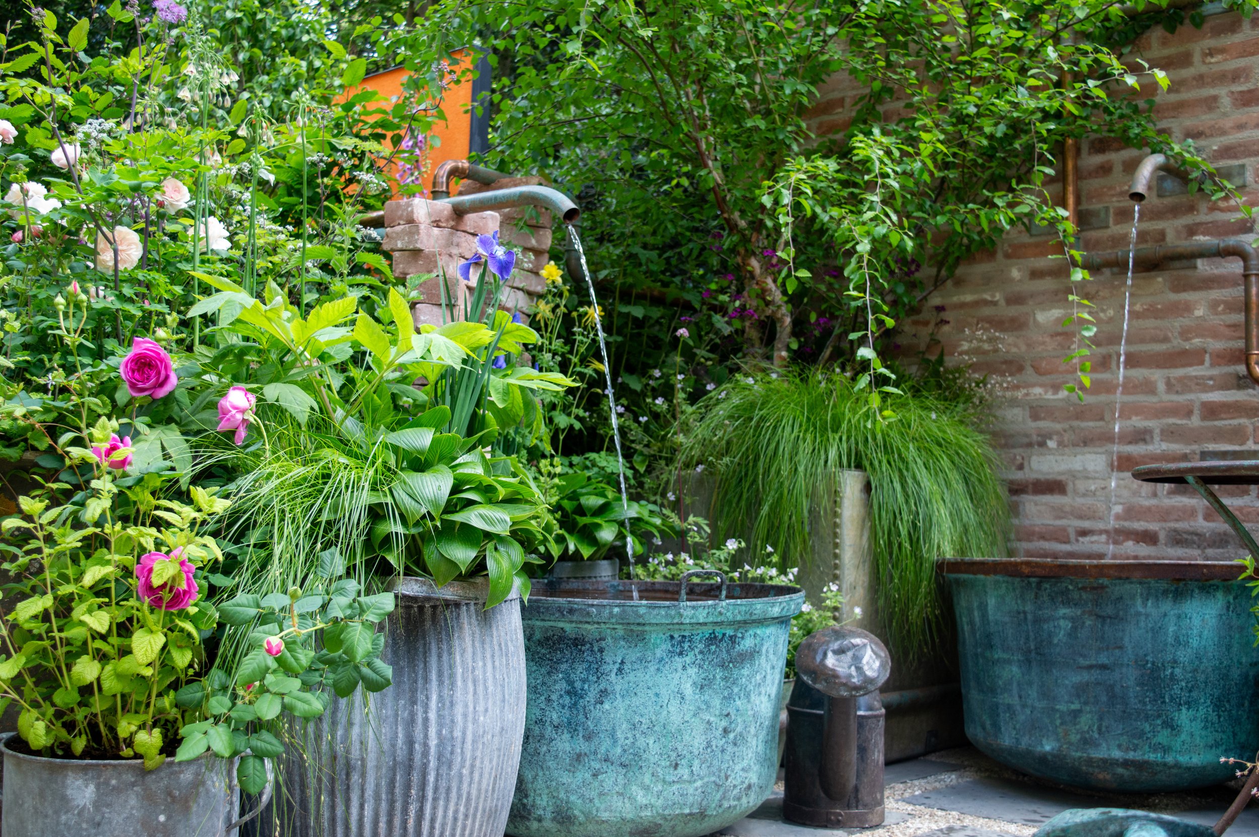 The Whittard of Chelsea Garden - RHS Chelsea Flower Show - Ollie Pike