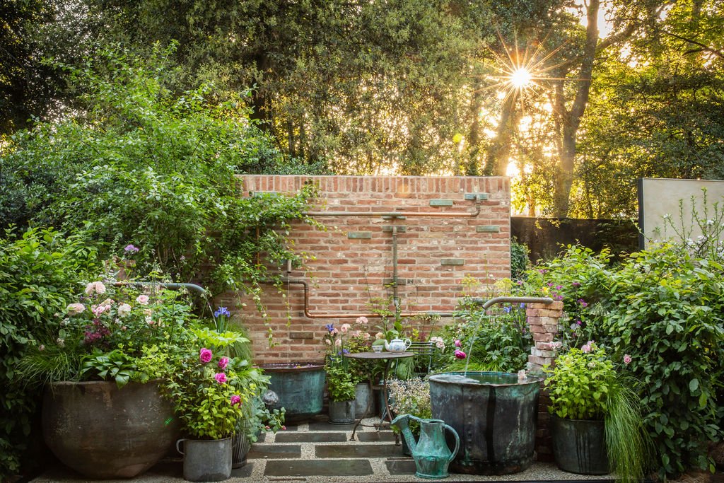The Whittard of Chelsea Garden - RHS Chelsea Flower Show - Ollie Pike