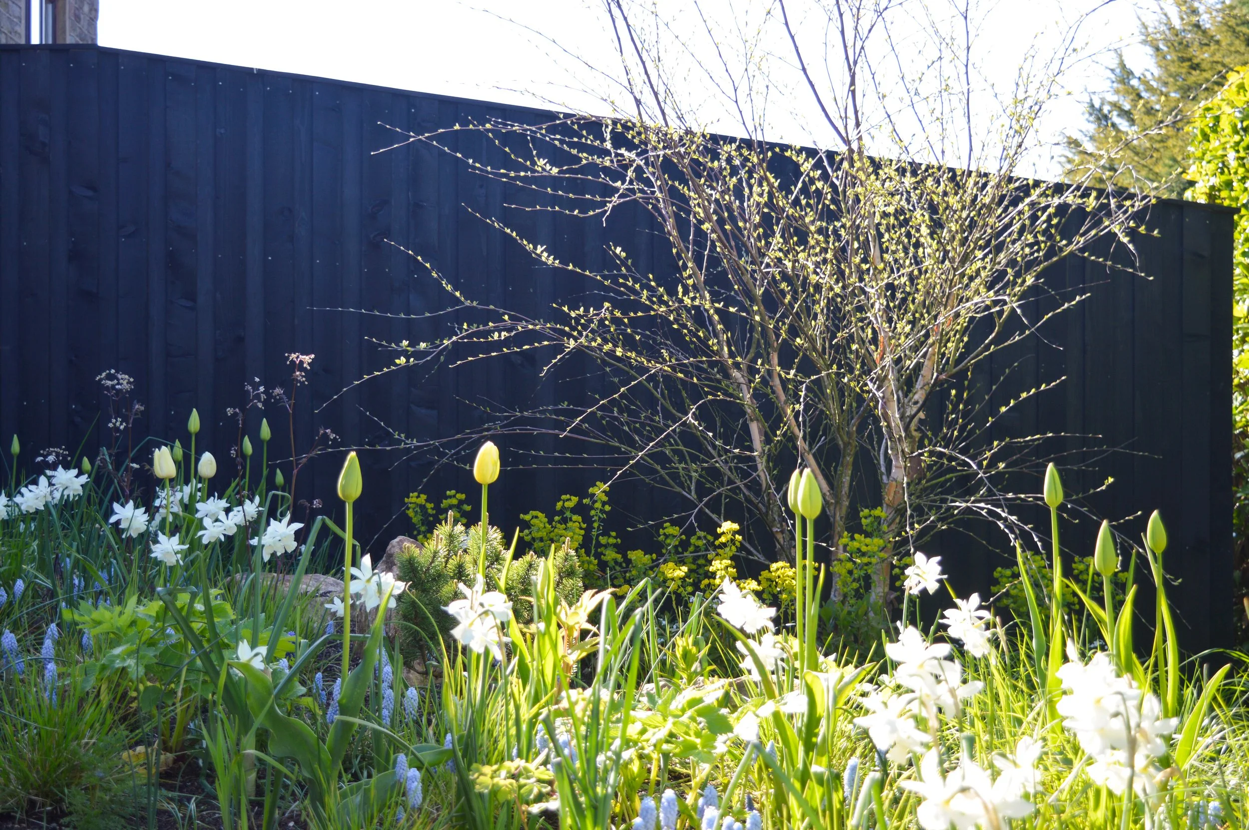 Spring bulb planting by Pike Studio