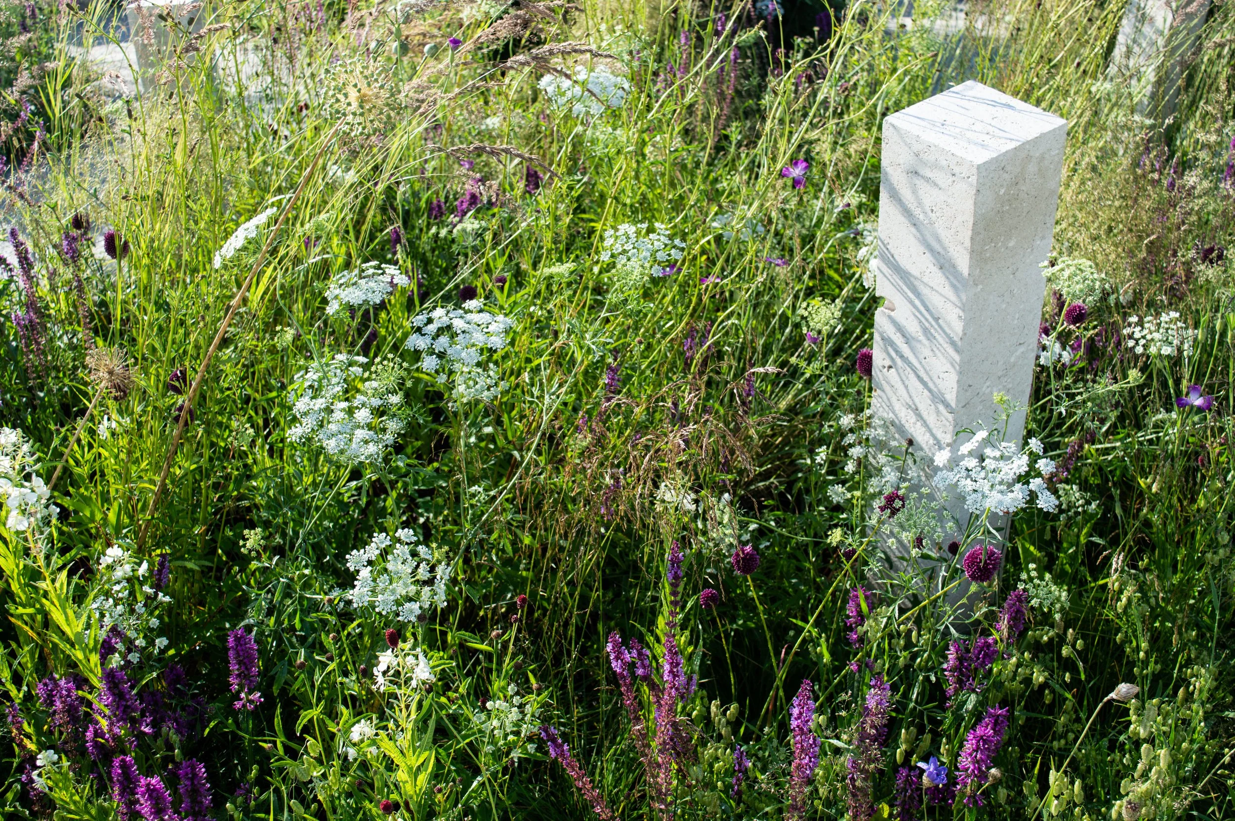 Psalm_27_Garden_copyright_Ollie.Pike-52.jpg