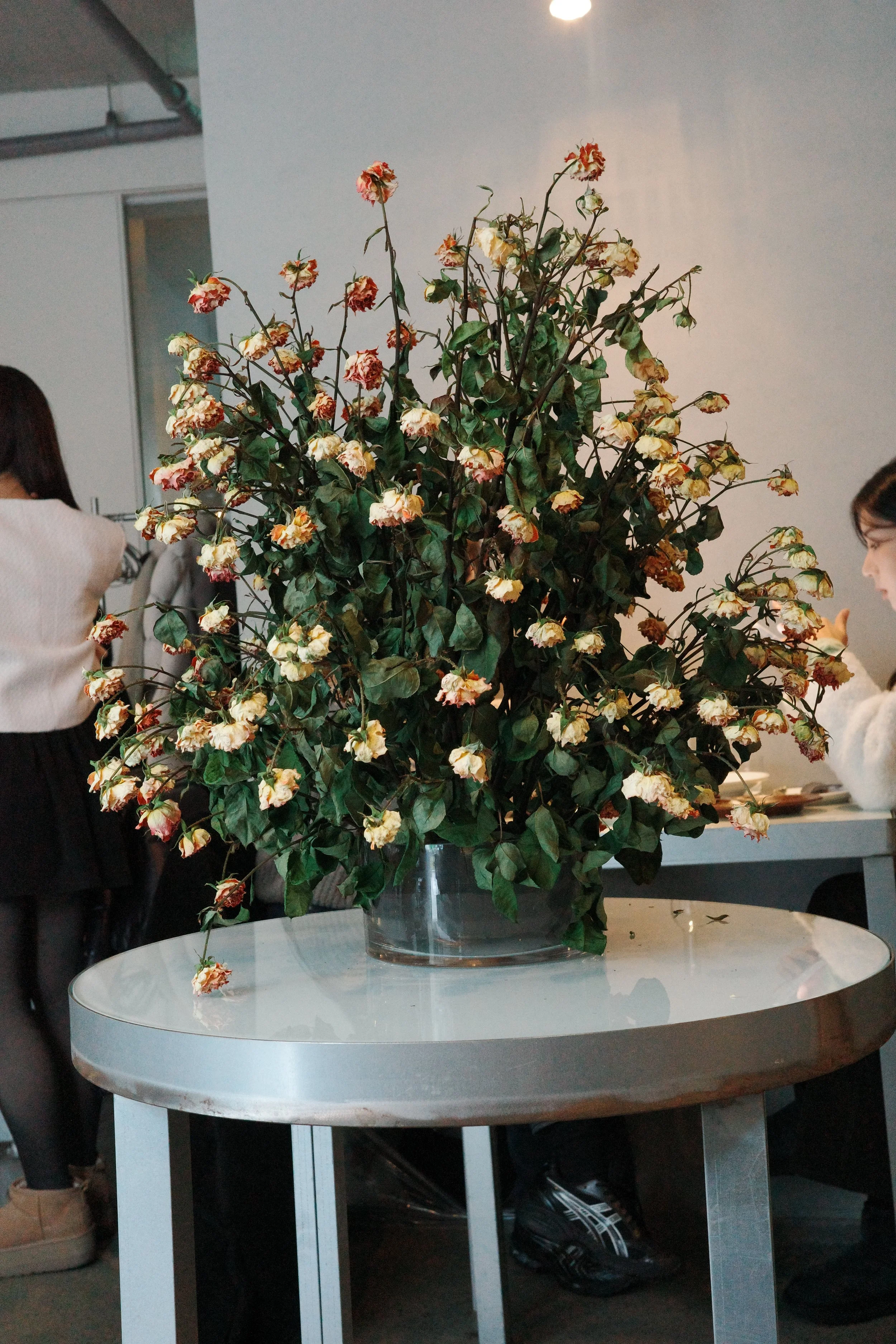 R0001904.JPG
