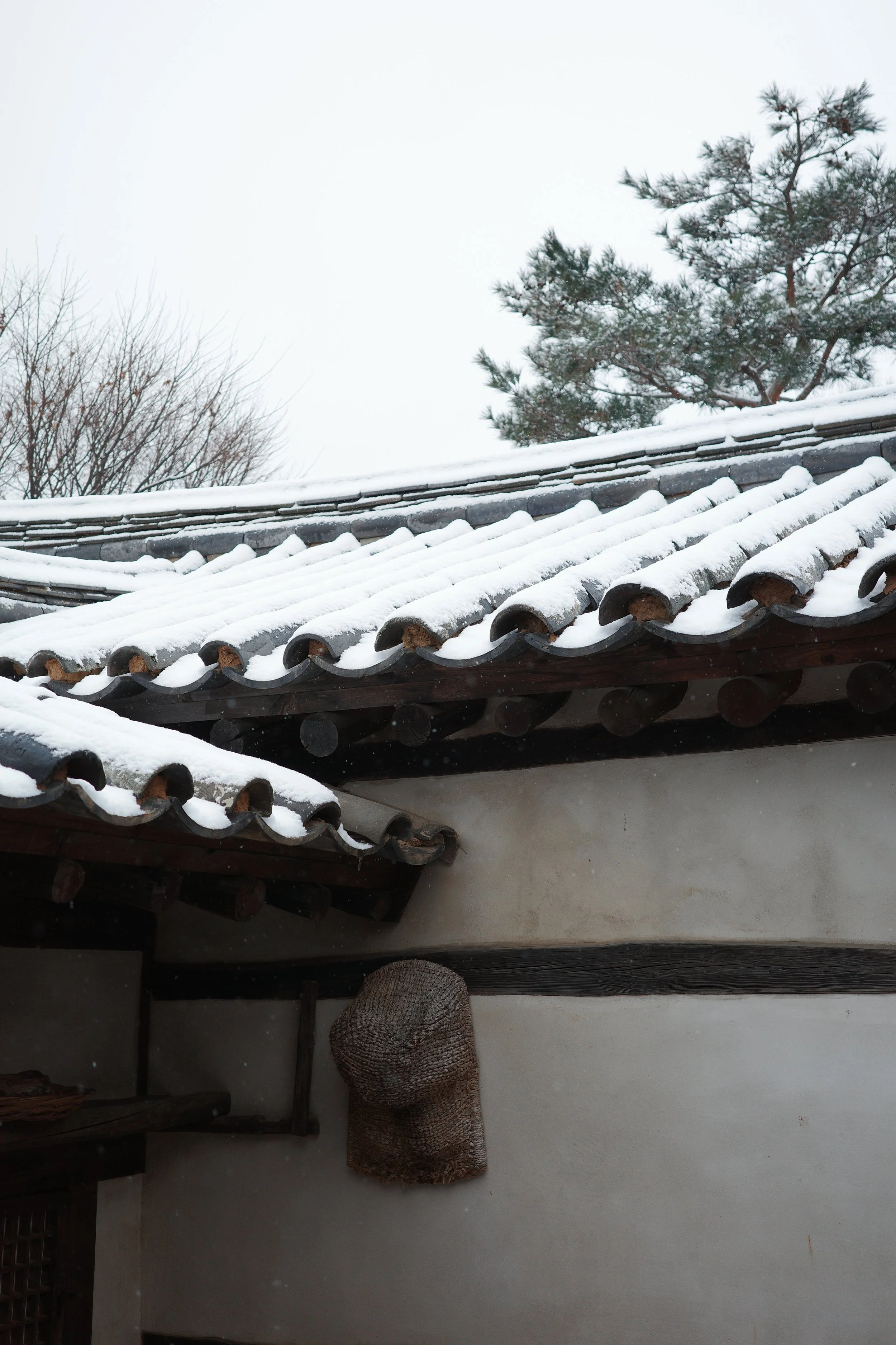 R0002000.JPG