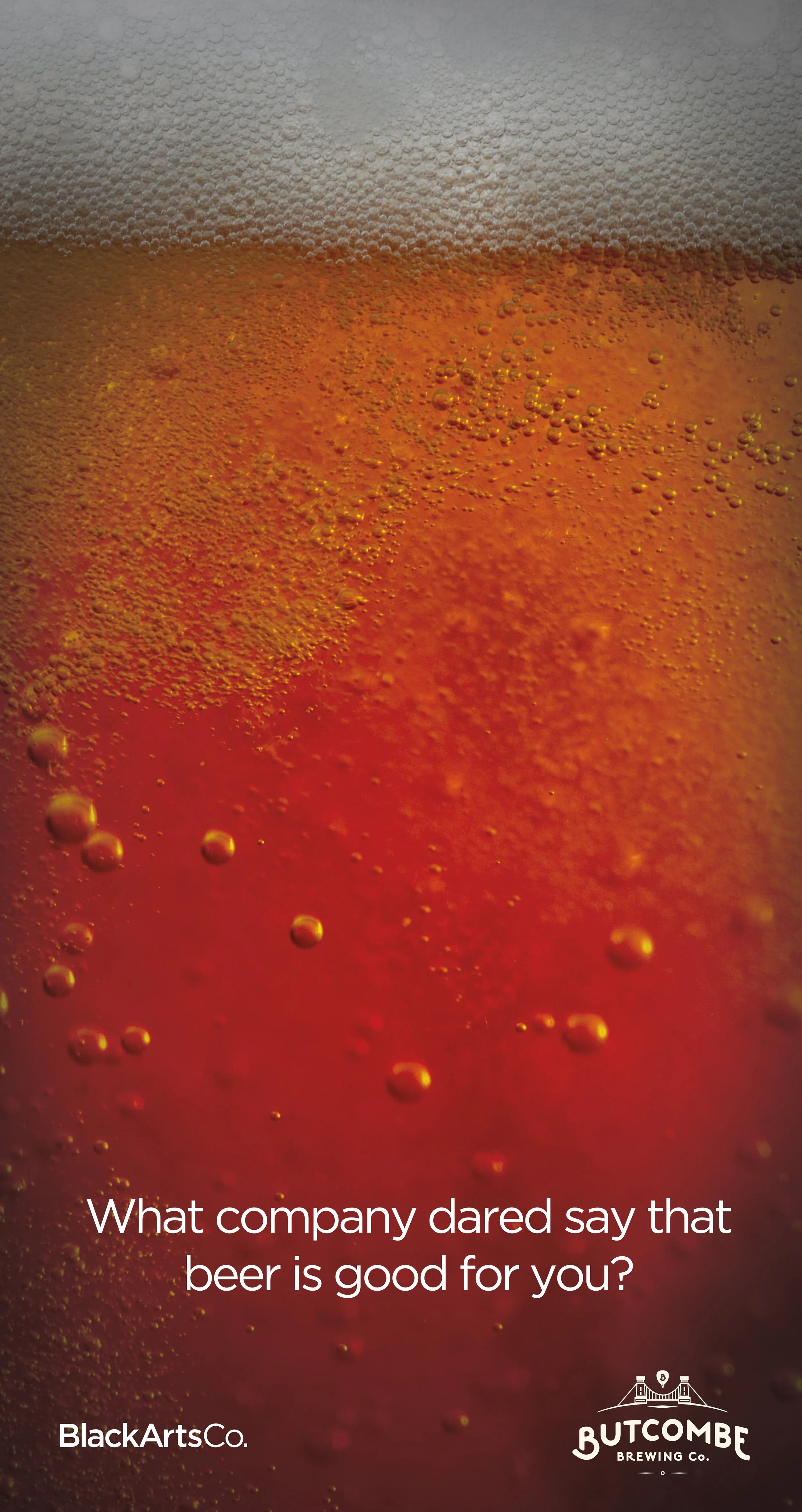 Beer is Good for You