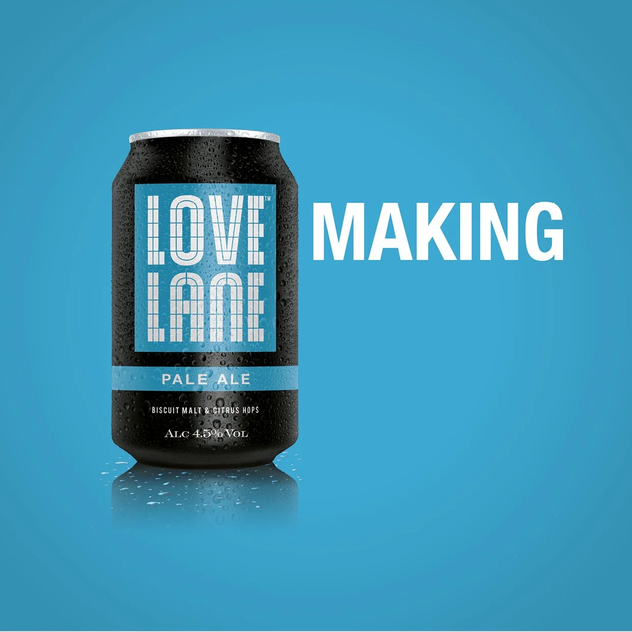 Love Lane9.jpg