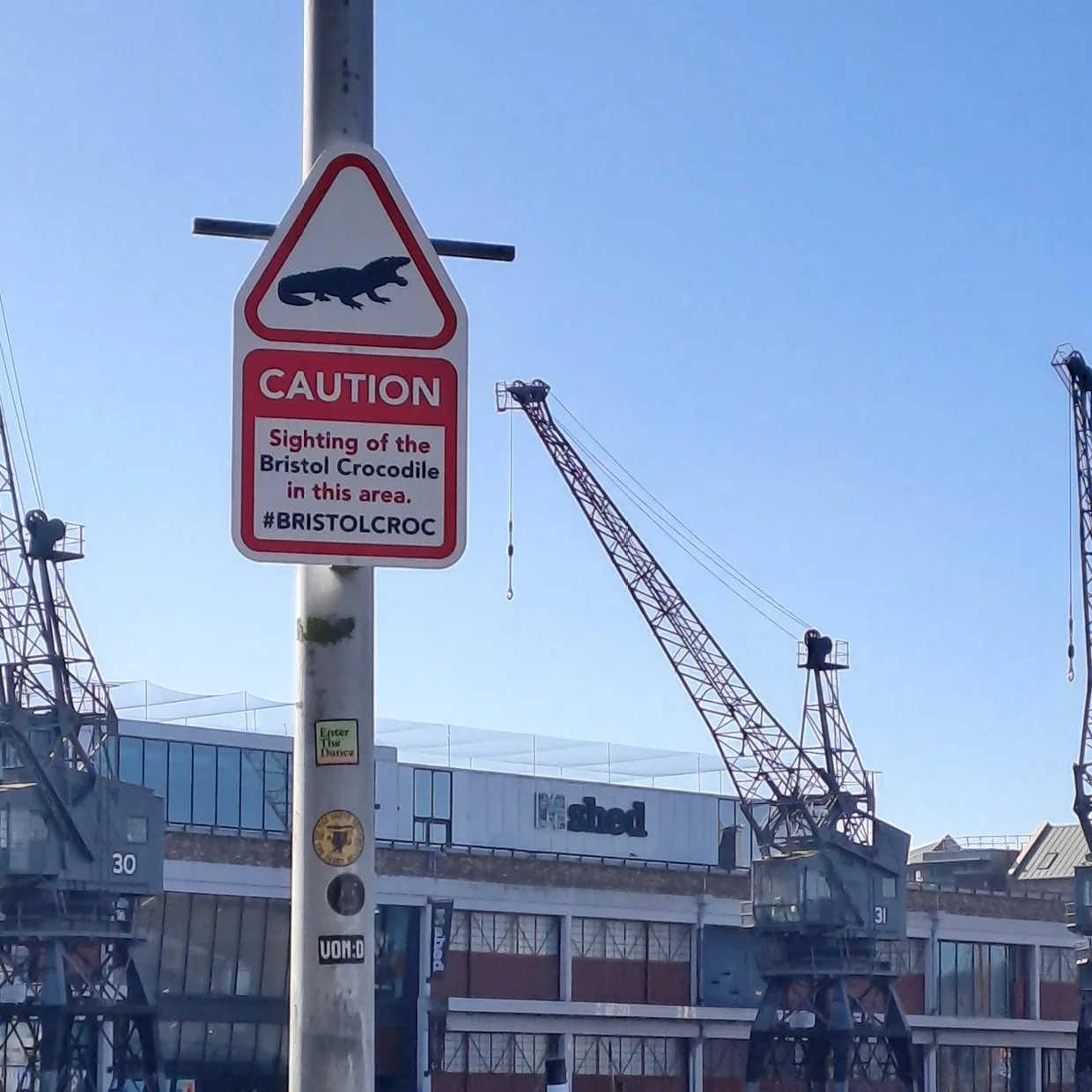 Croc Signs3.jpg