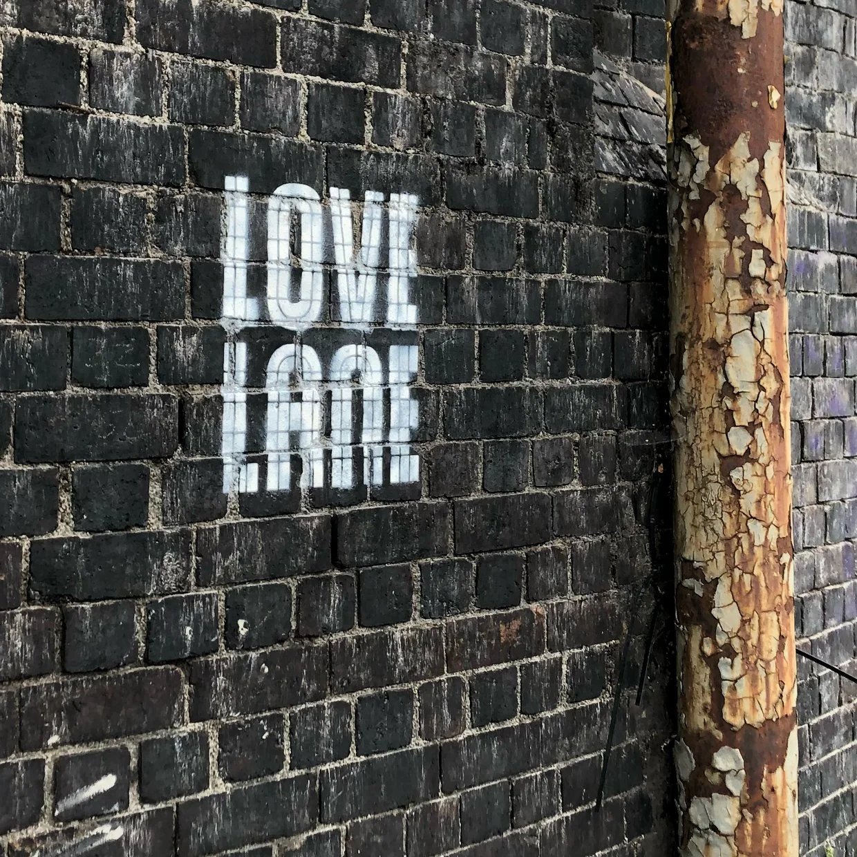 Love Lane4.jpg
