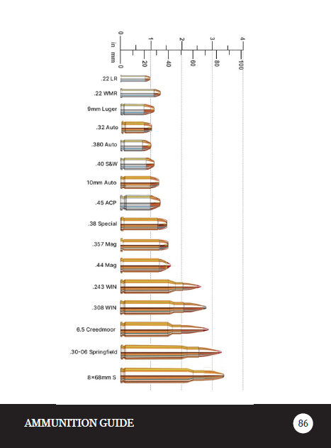 Ammo Guide.png