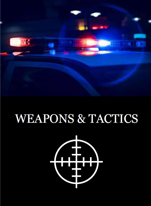 Weapons New.png