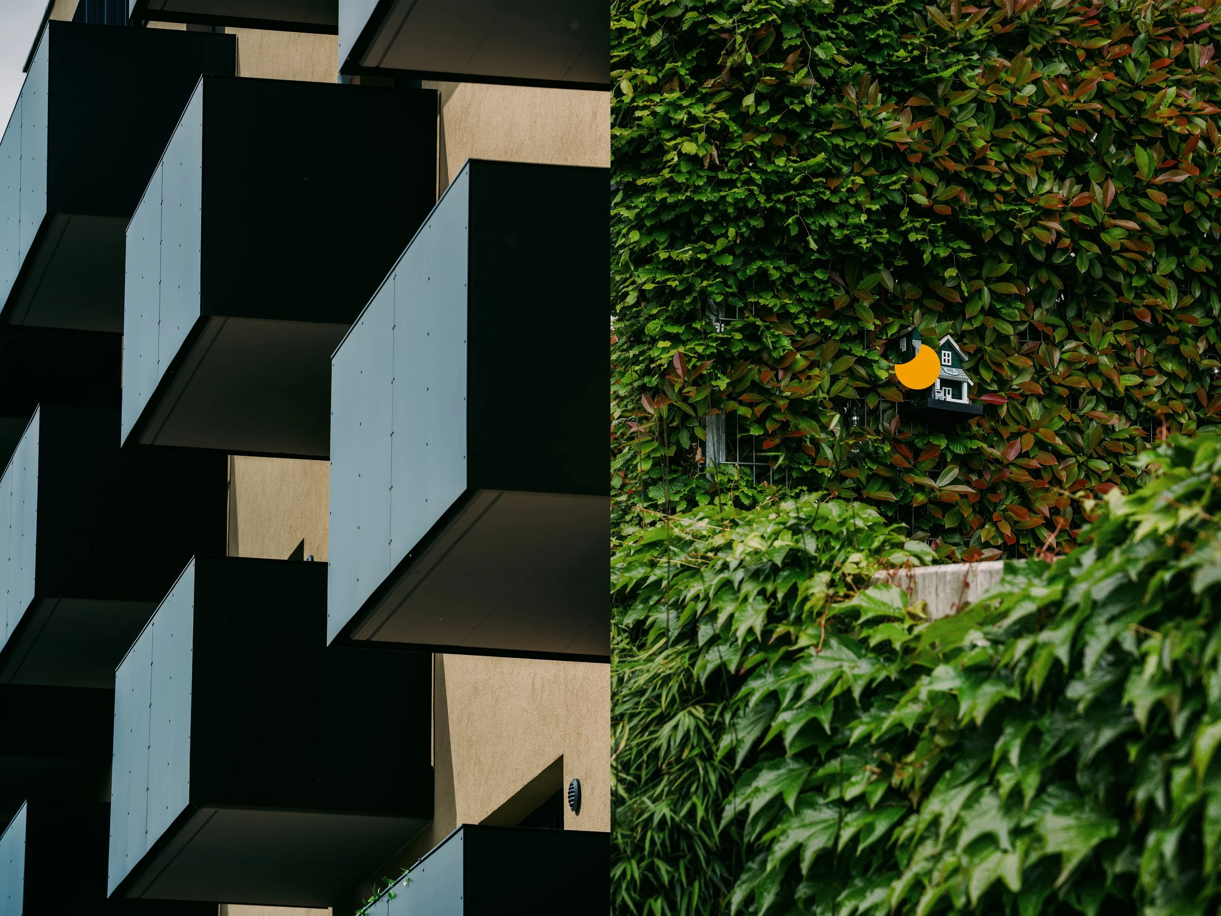 Lucron 20th anniversary project