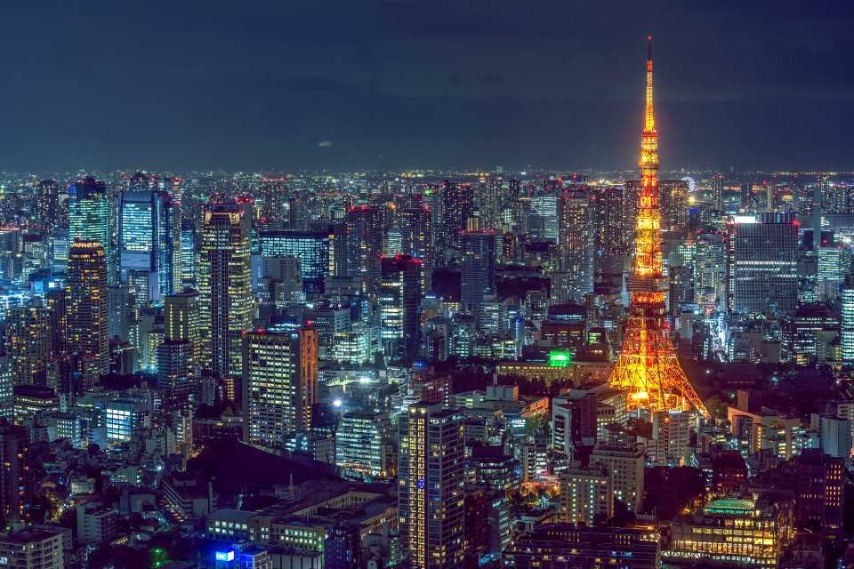 A view of Tokyo Tower and the city at night