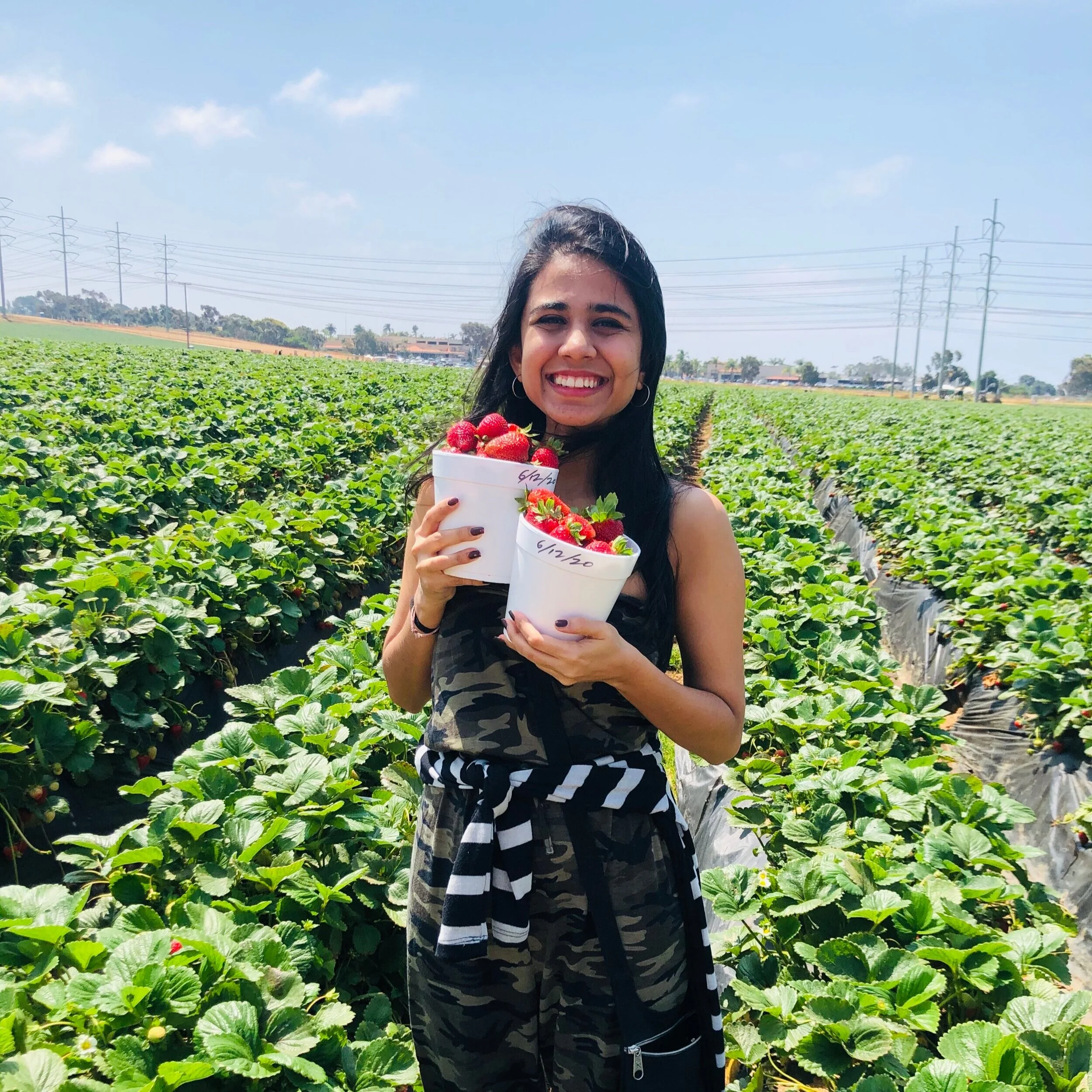 Summer trip to Carlsbad California strawberry farms