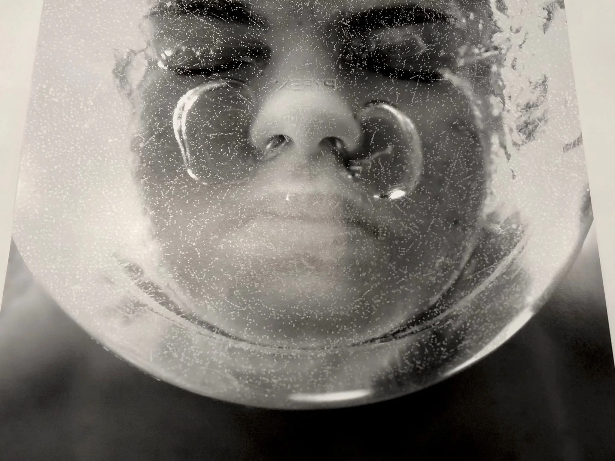 Exhibition: Life on Water