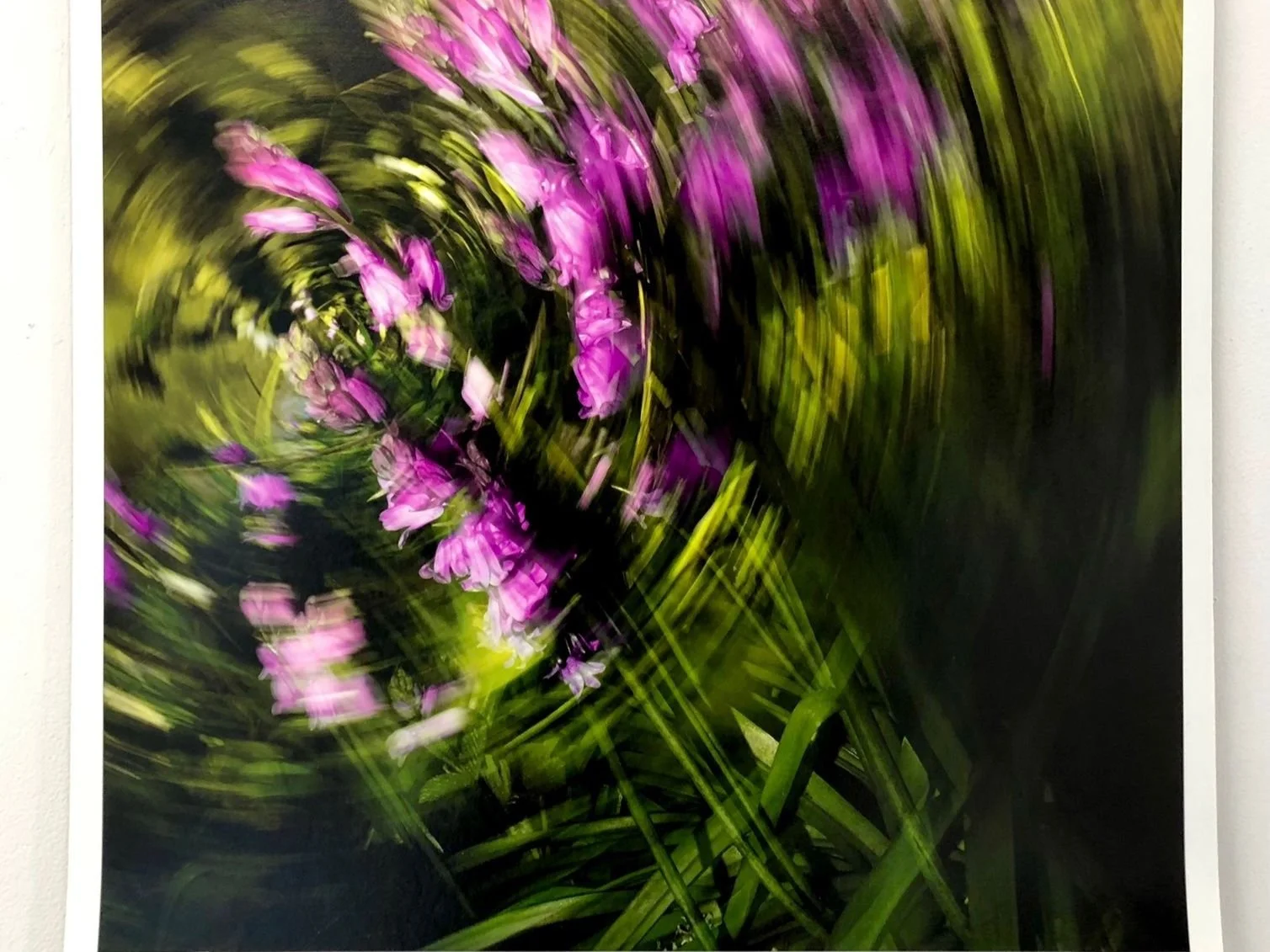 Exhibition: Life on Water