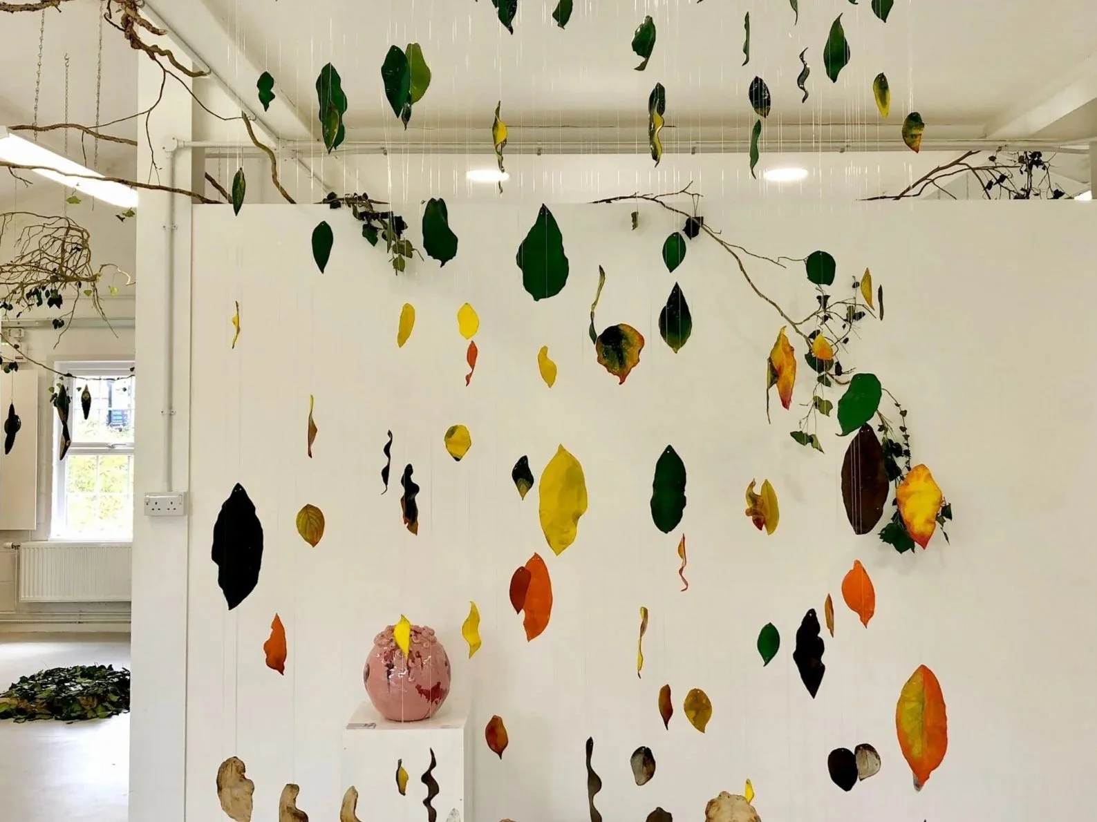 Exhibition: The Fragility of Life