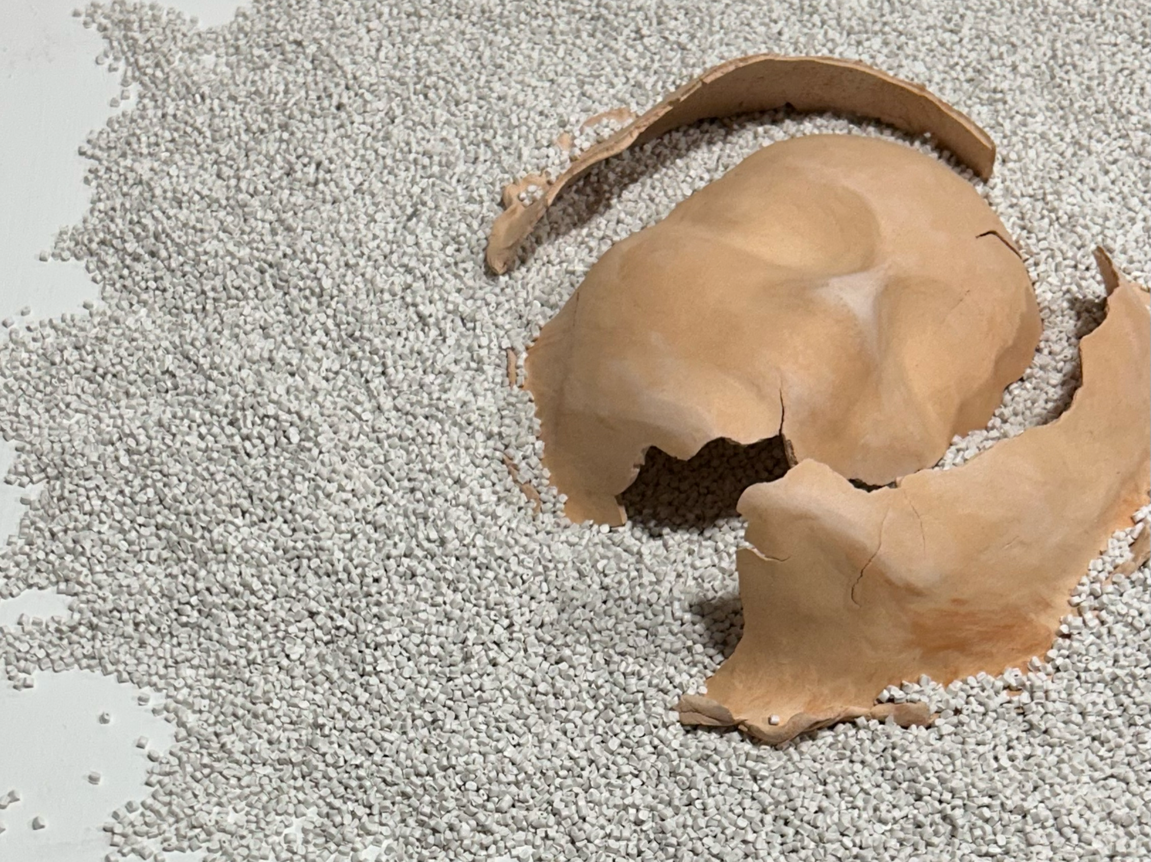 Exhibition: What Remains - Crystal D. Evans