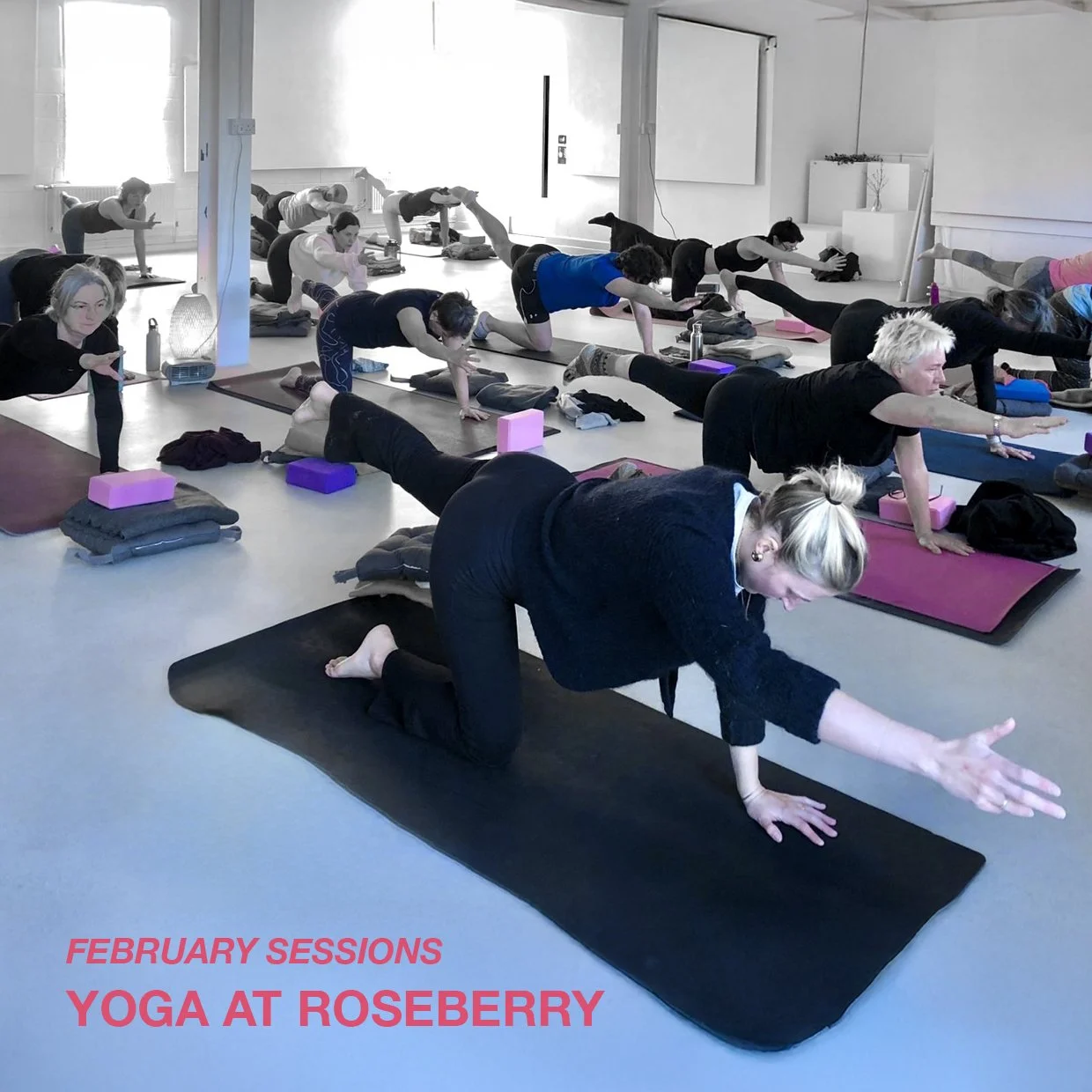 Yoga at Roseberry - FEBRUARY