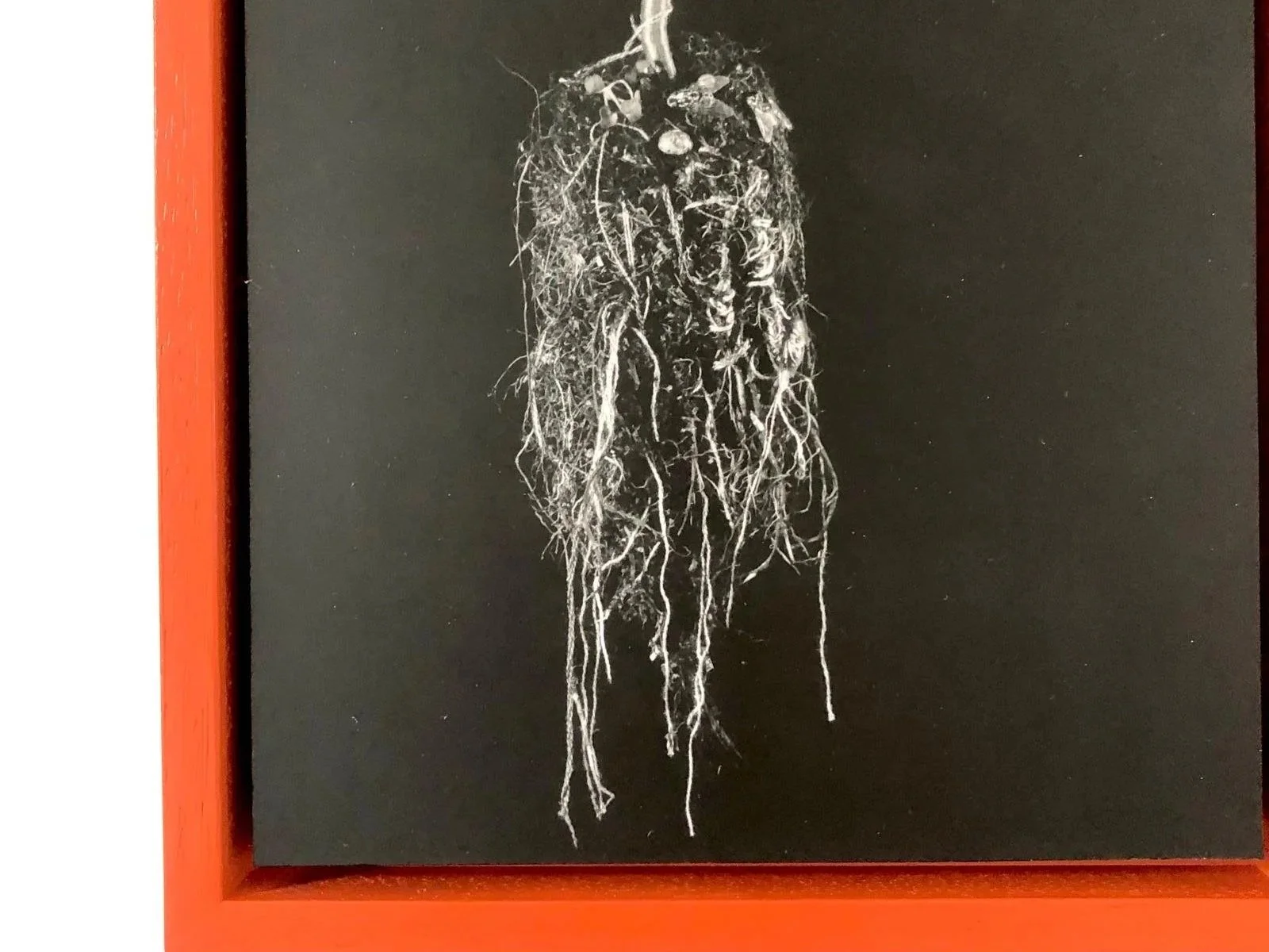 Exhibition: Tree