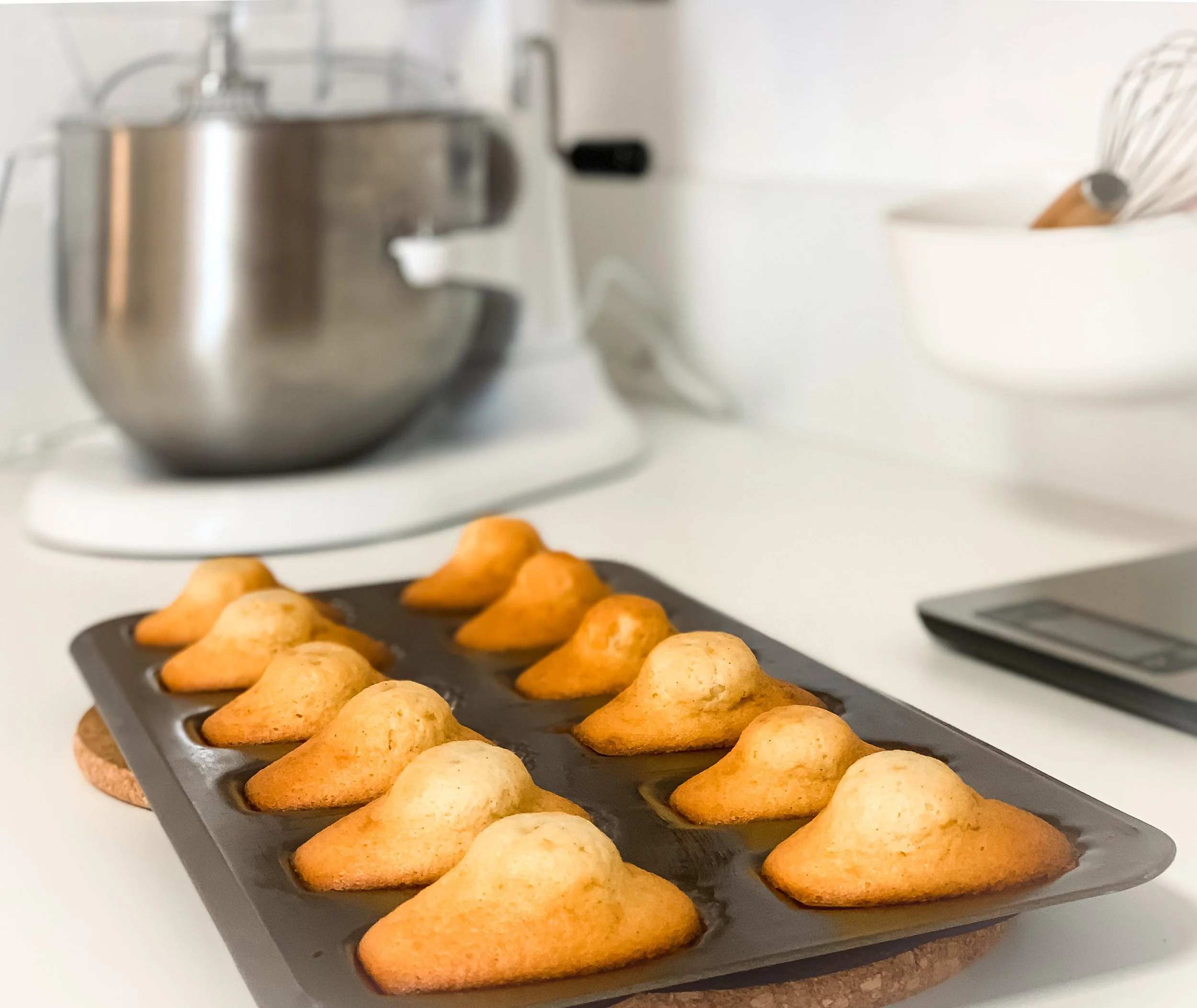 restauarant rousset, terrasse, gastronomique, cuisine maison, français, haut de gamme