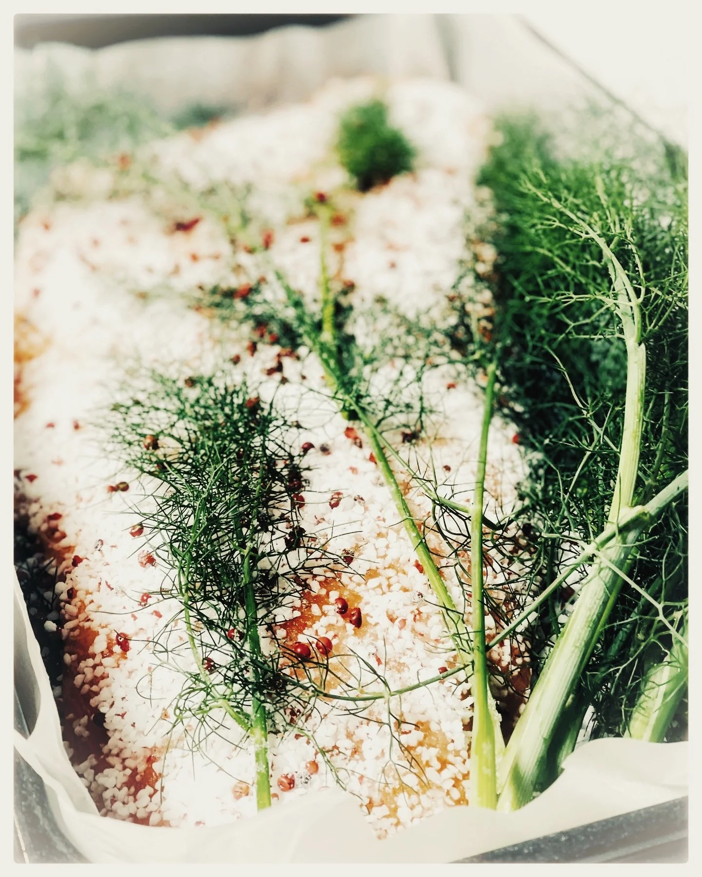 restaurant rousset, cuinine maison, vin bio, gastronomique, terrasse, haut de gamme, français