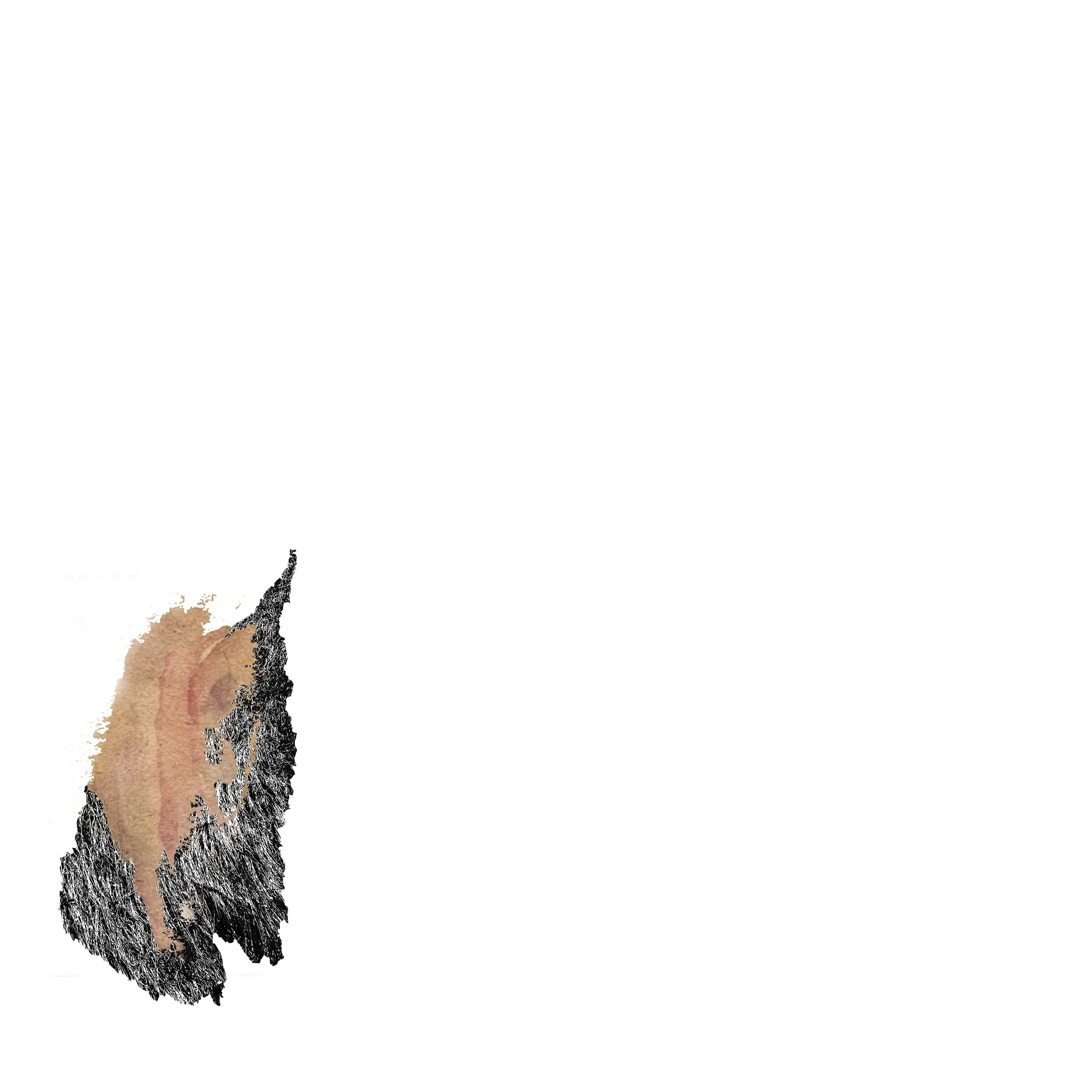Self-Portrait as Leaf Pressed Between Two Countries
