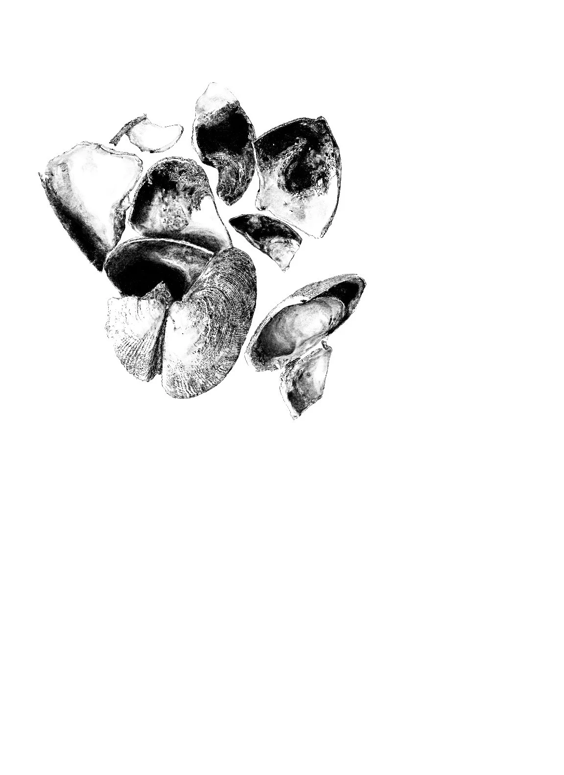 What the Tide Breaks