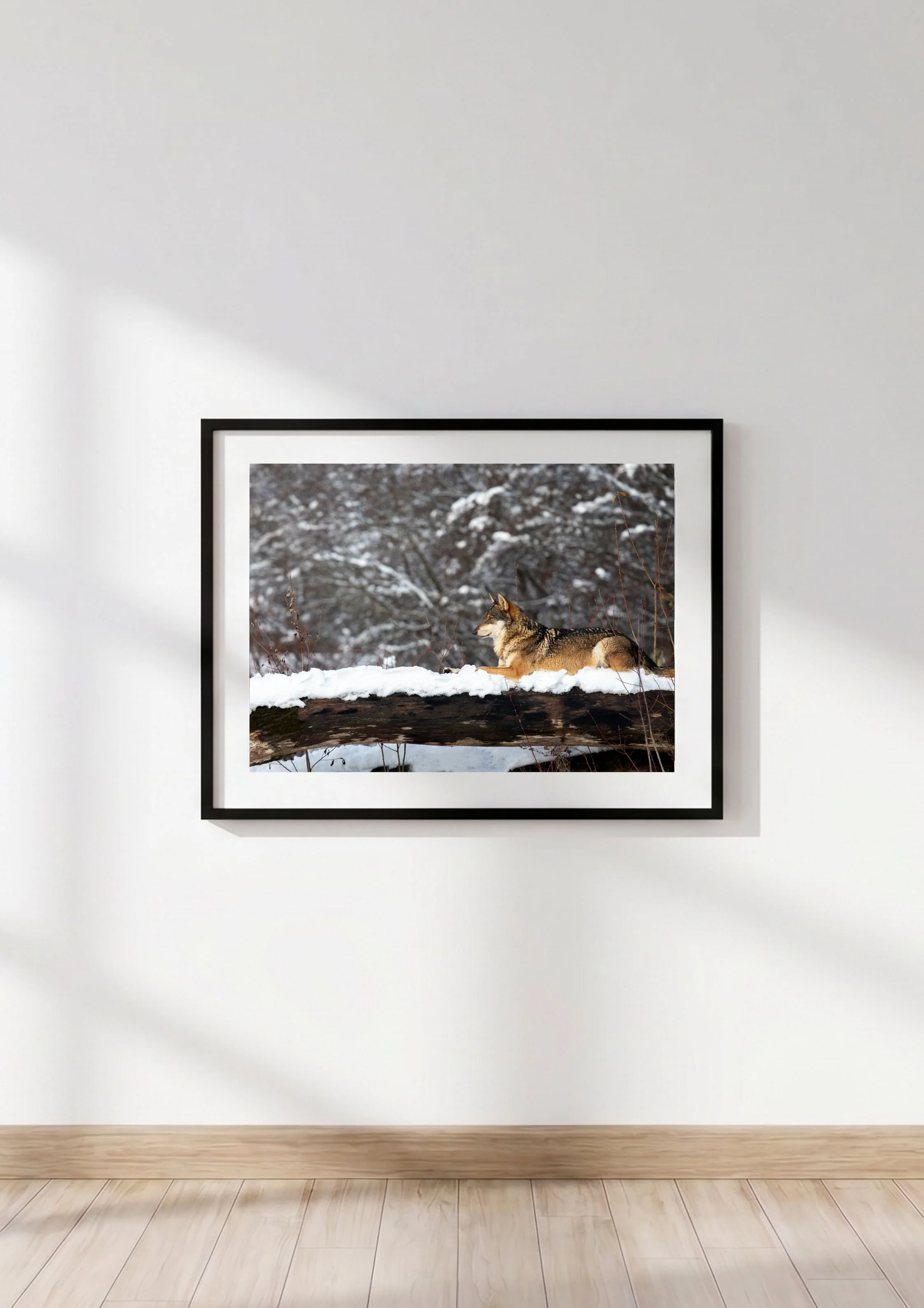 Decoration Wall Art Frame Mockup-12.jpg