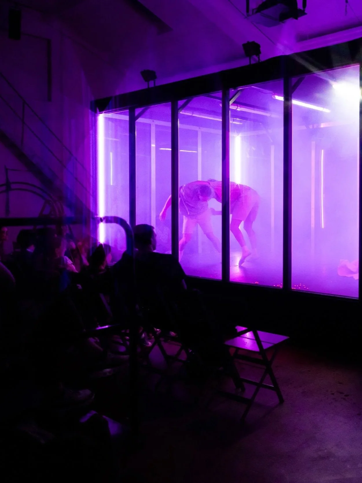 L’Elastique Citrique