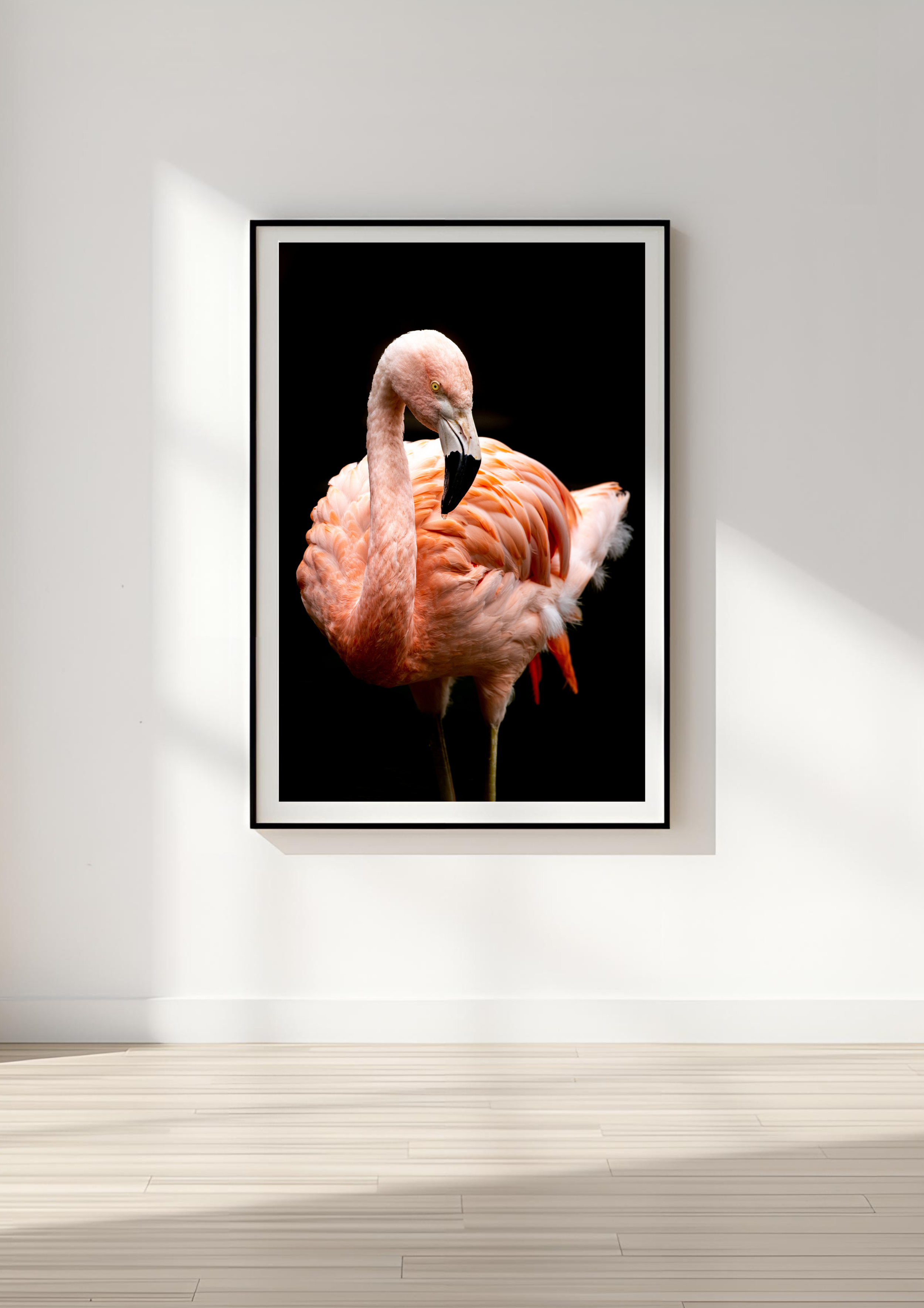 The Flamingo