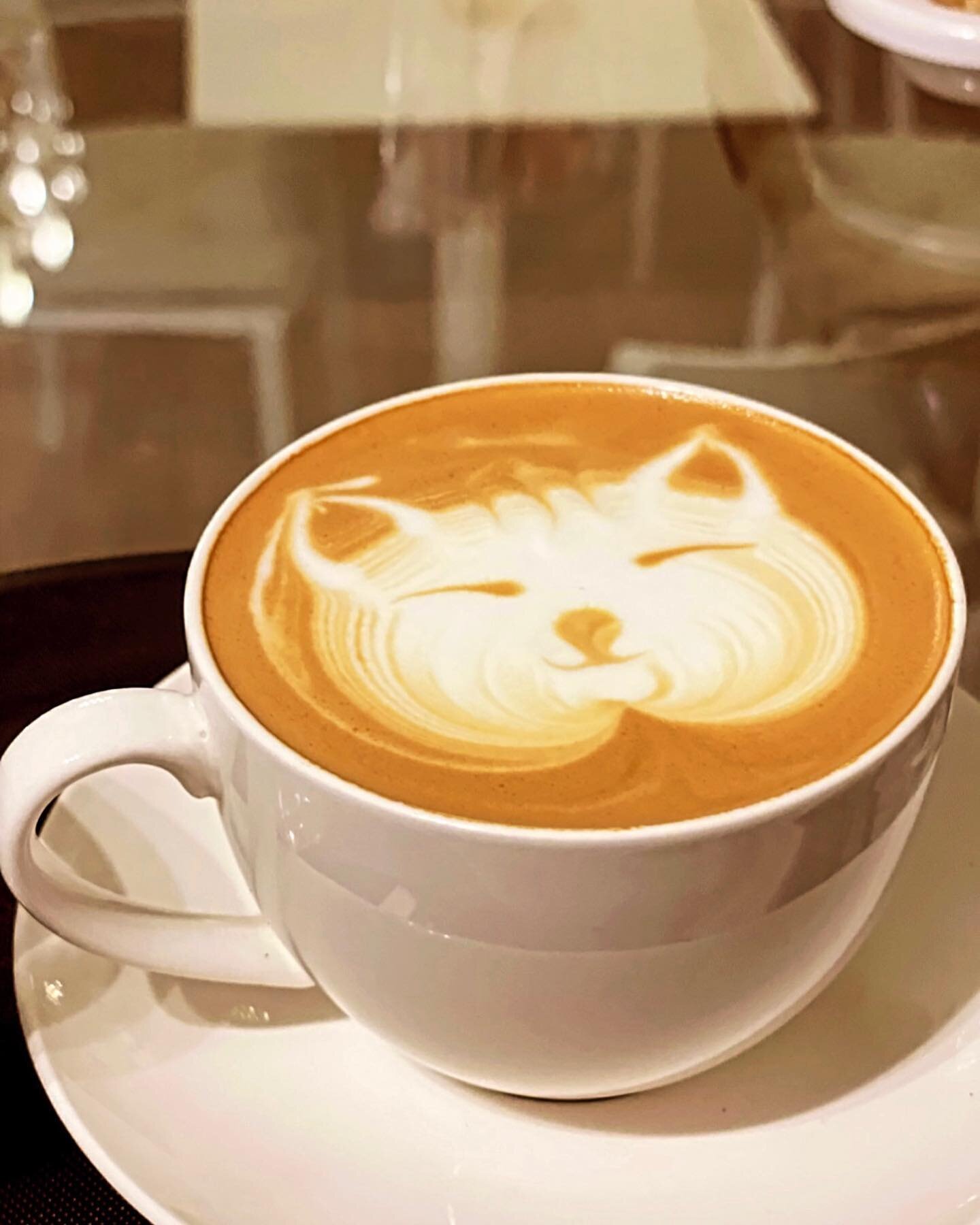 🌸🤭

#cafe #caf&eacute; #m&ouml;dling #love #drink #coffee #cats #barista #haffermilch #soyamilk
