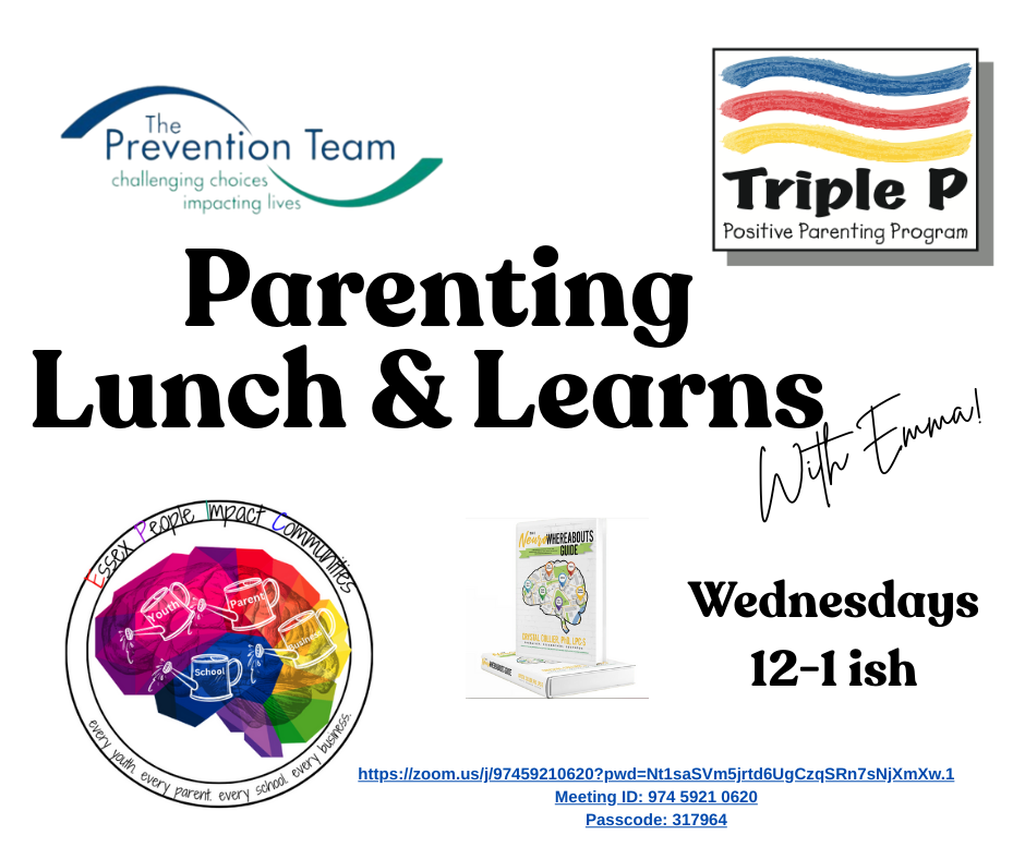 Parenting Lunch and Learns 
