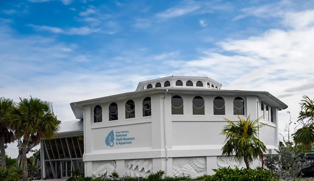 Restoring Education, Inspiring Discovery: How Our Grantee Rebuilt and Reconnected After Hurricane Ian