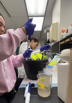 American Cancer Society: Building the Future of Cancer Research 