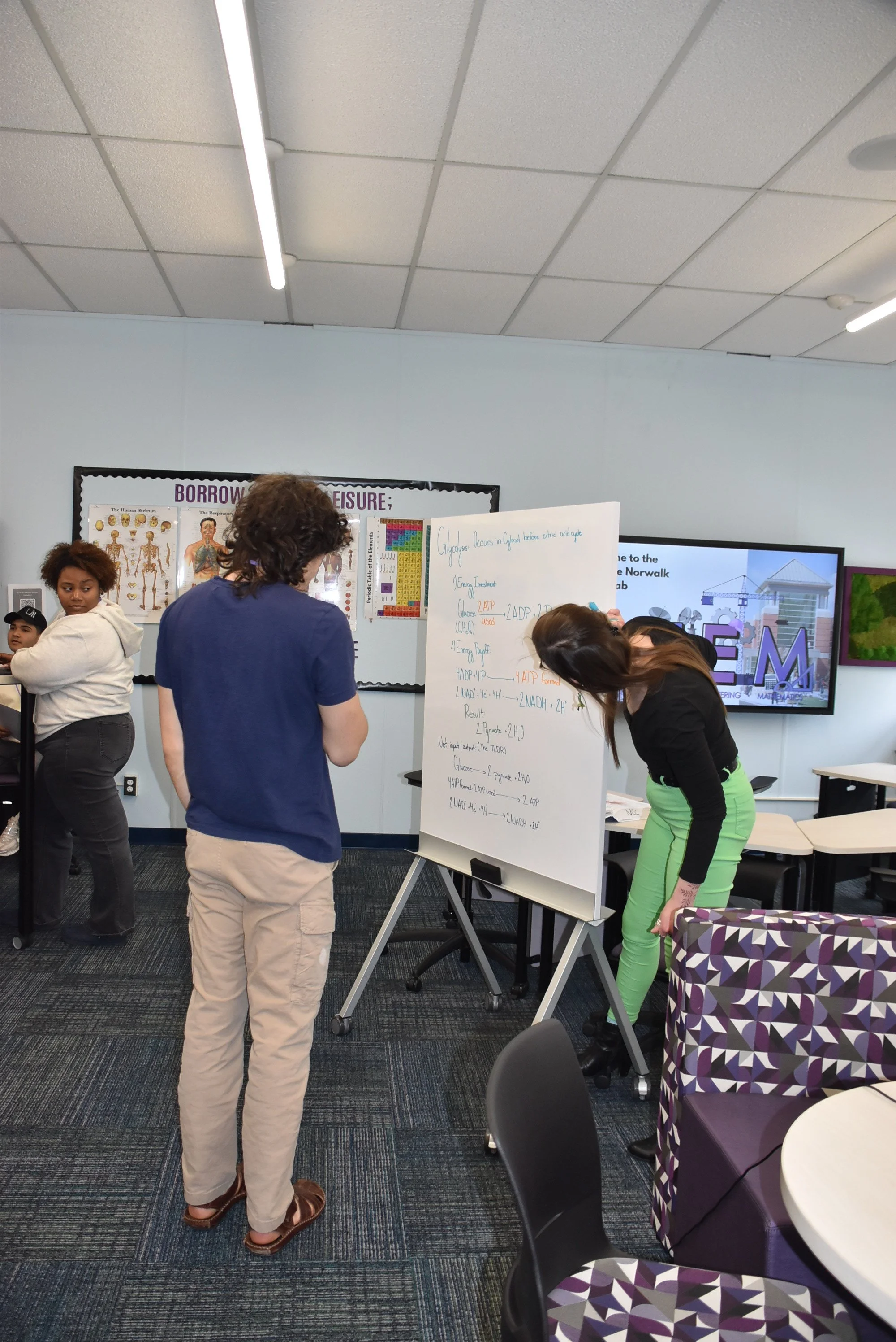CT State Norwalk Stem Lab2.JPG