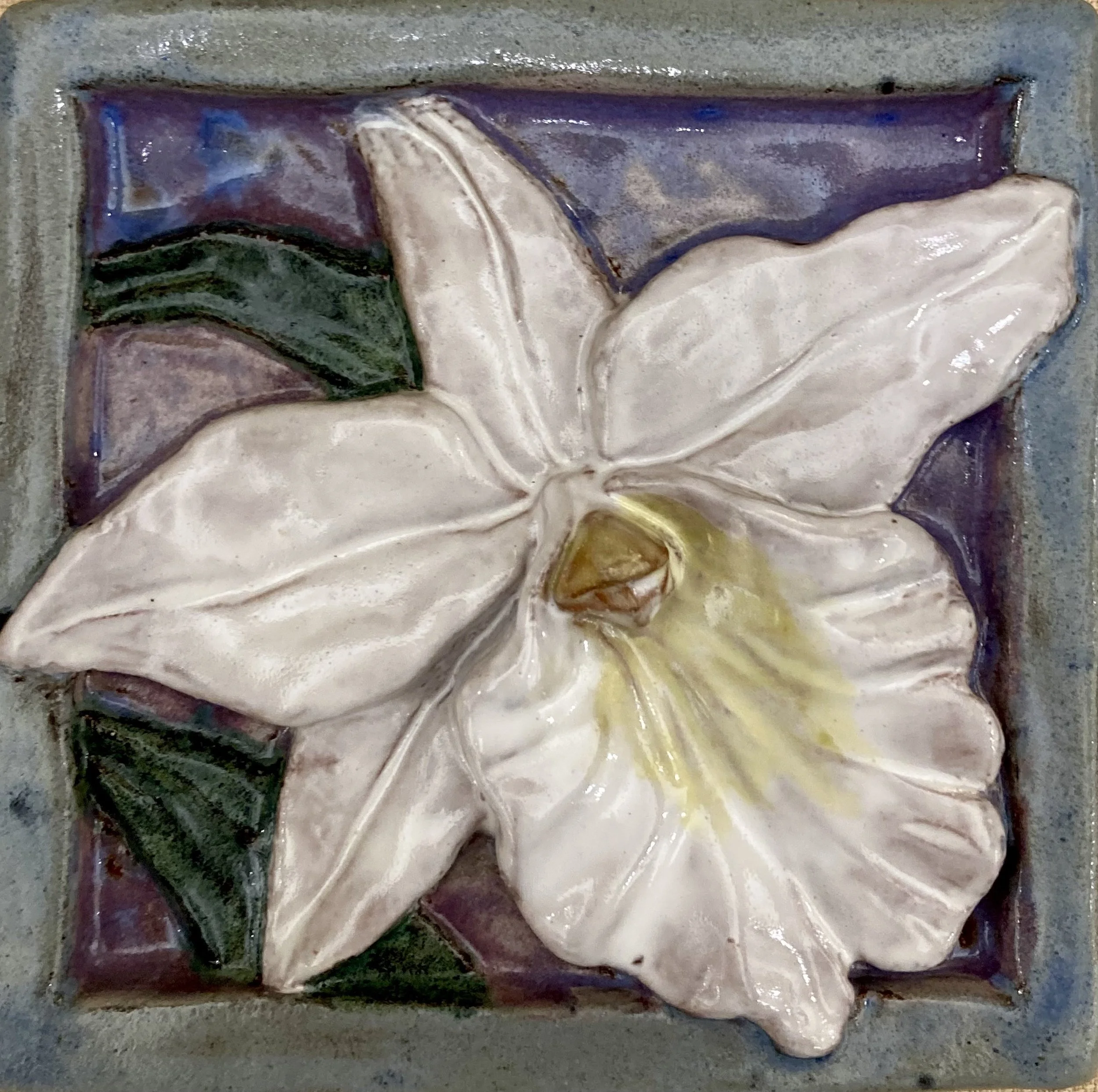 cattleya orchid tile