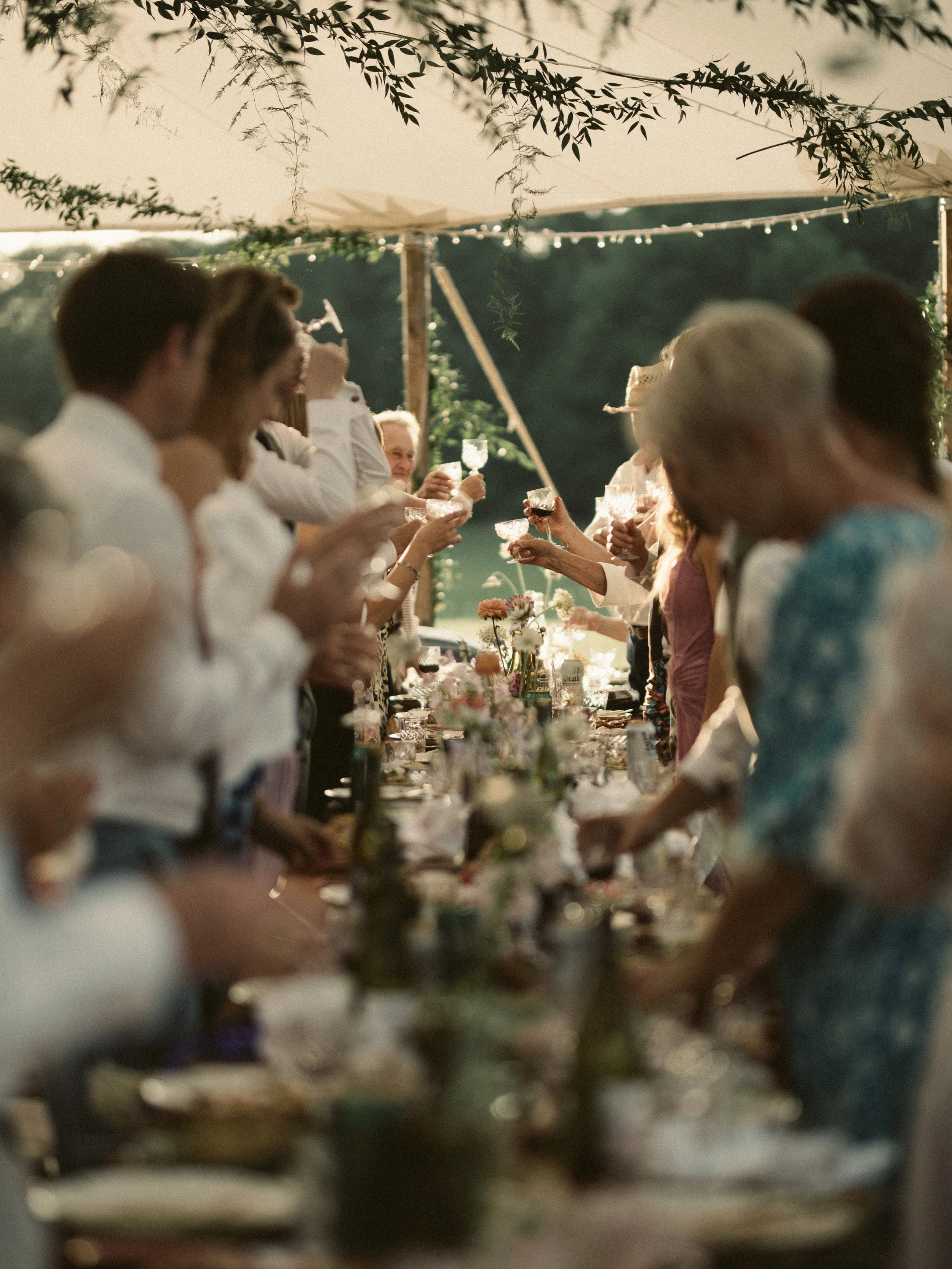 A group of people celebrating at an outdoor event, raising glasses in a toast under a canopy with string lights, surrounded by greenery.
