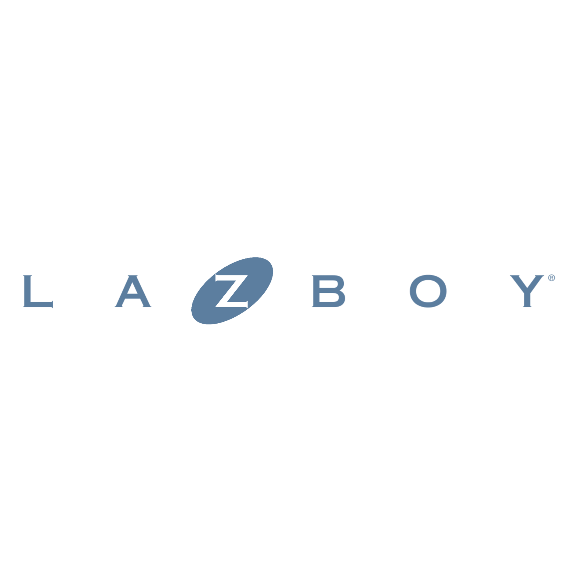 The image displays the word "LOZBOY" with the letter "Z" highlighted in a blue oval shape.