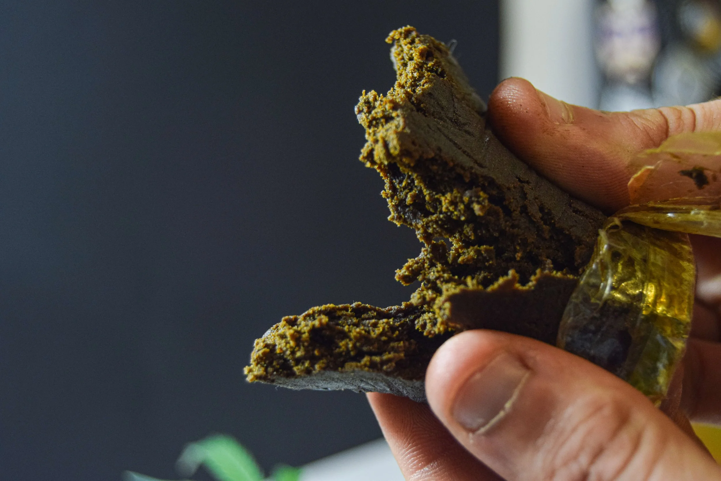Hash Explained: History, Types, and Culture I Starbird Salem