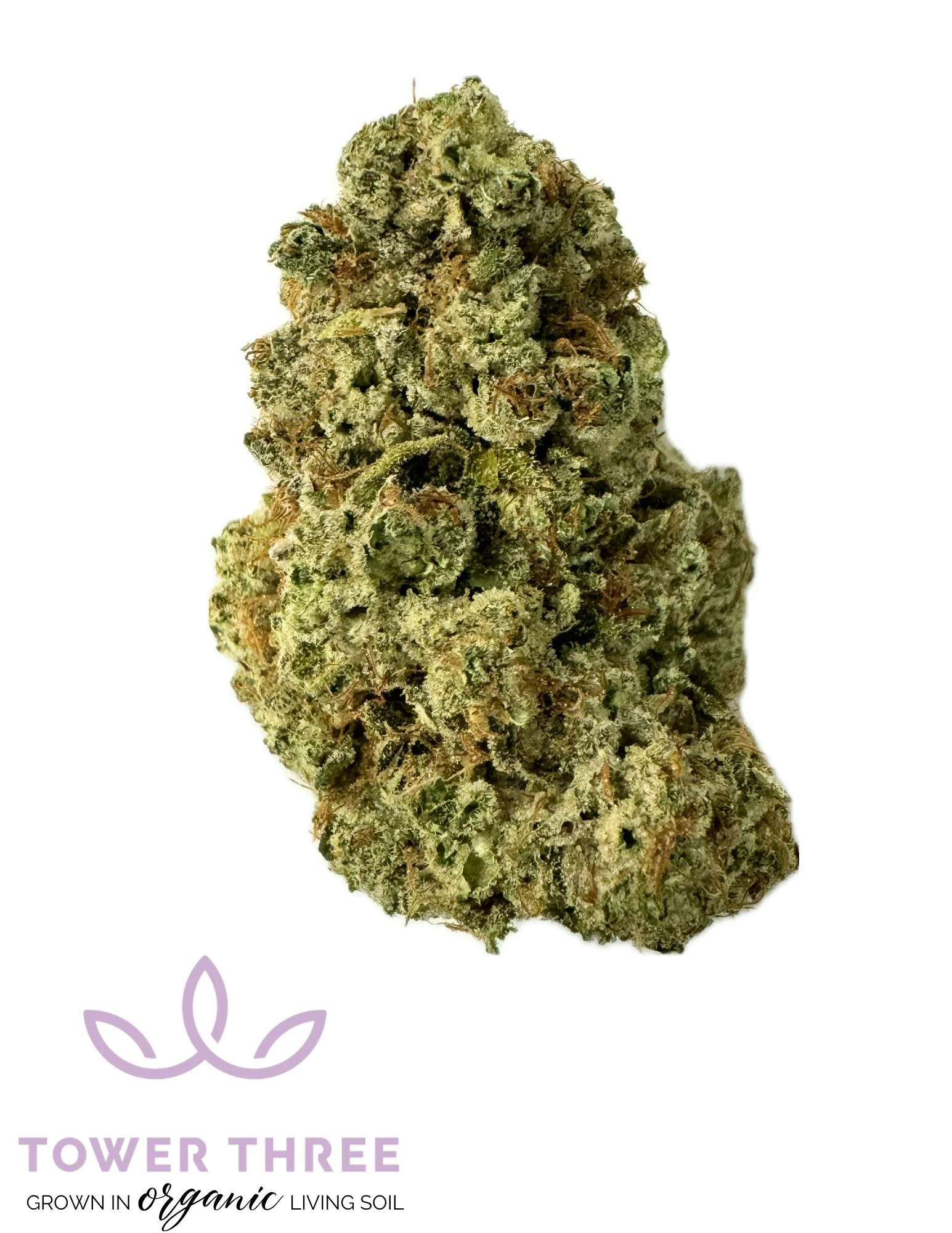 Close-up of a large cannabis bud with a white background and a purple logo reading 'Tower Three' with the text 'Grown in organic living soil'.