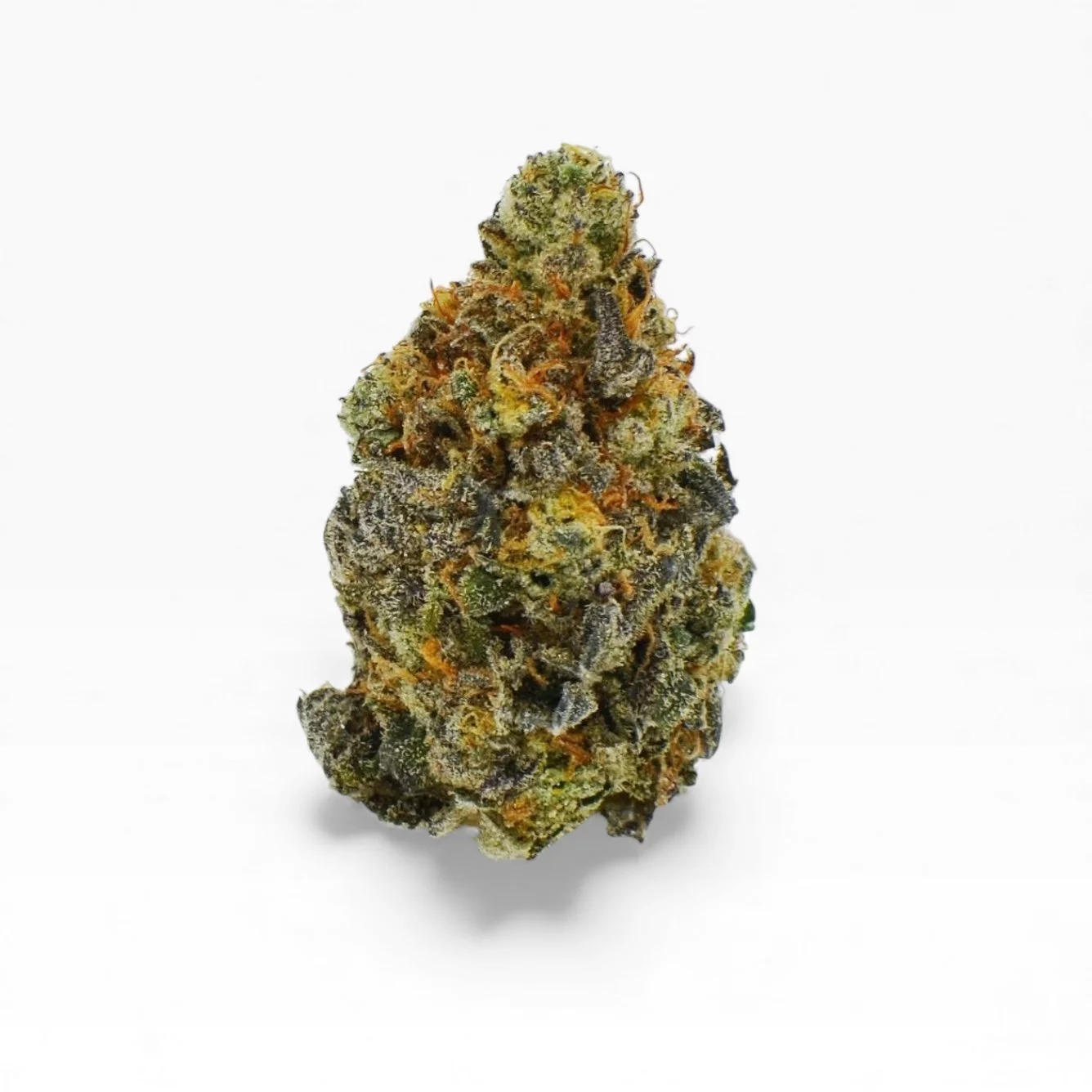 Close-up of a cannabis bud with green, orange, and purple hues, covered in trichomes, against a white background.