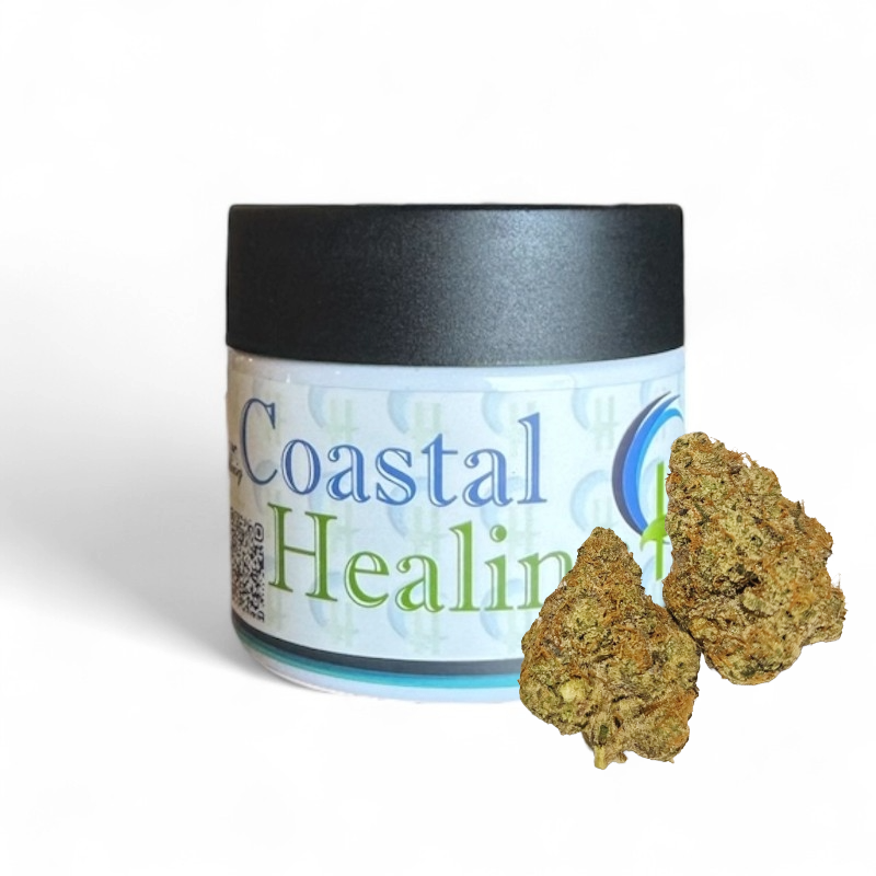 A container labeled 'Coastal Healing' with two cannabis buds in front of it.