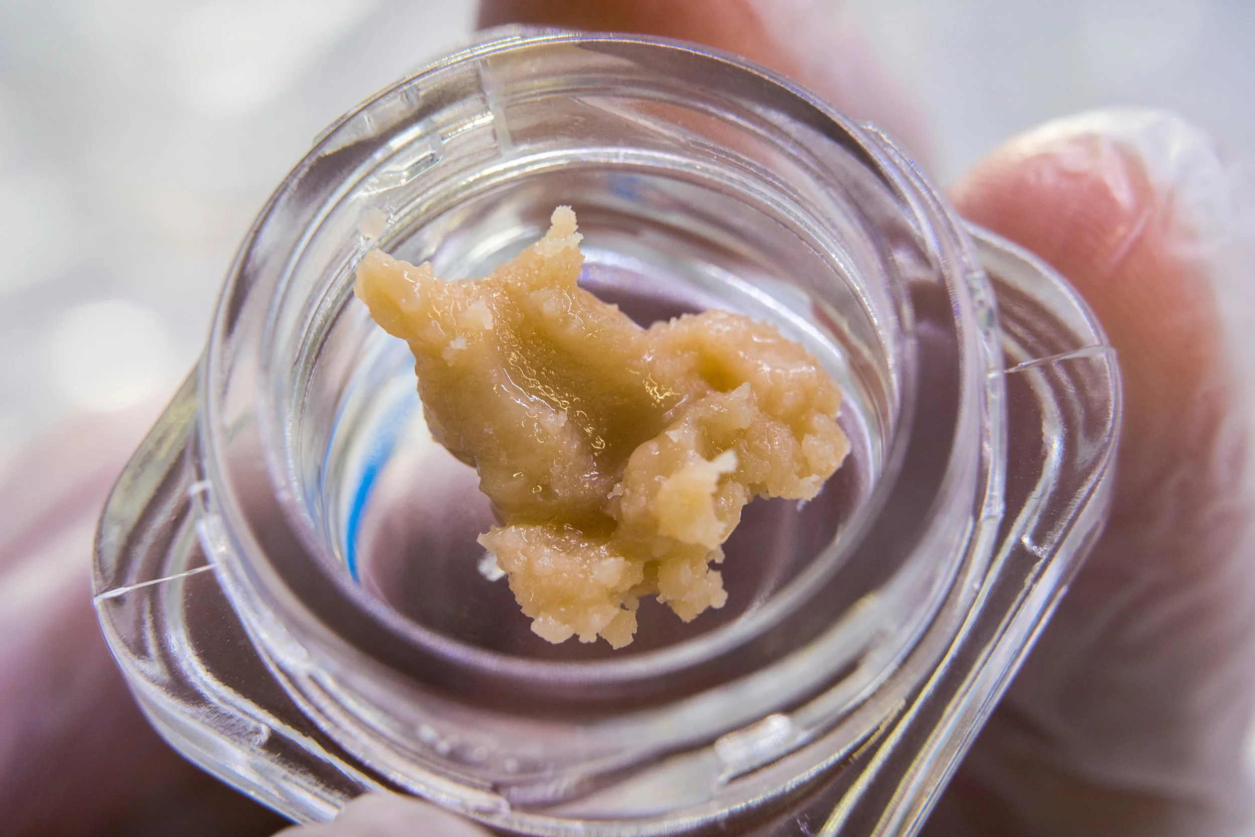 hash-rosin-starbird-salem-blog