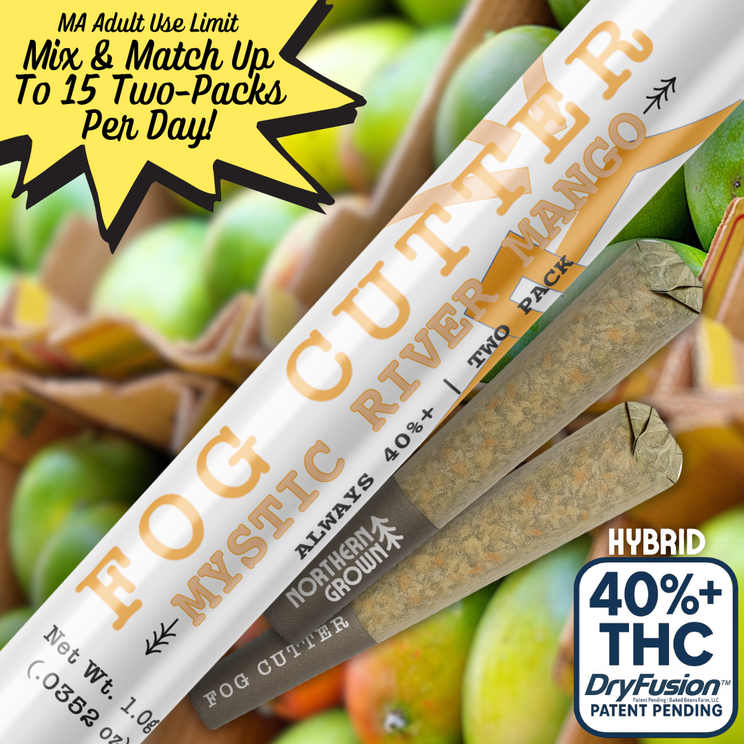 Packaging for cannabis pre-rolls labeled 'FOGG CUTT 'N' RIVER MANGO' with 40%+ THC, hybrid strain, grown outdoors, in a white tube with orange and black text. In the background, sliced apples and whole green apples are visible.