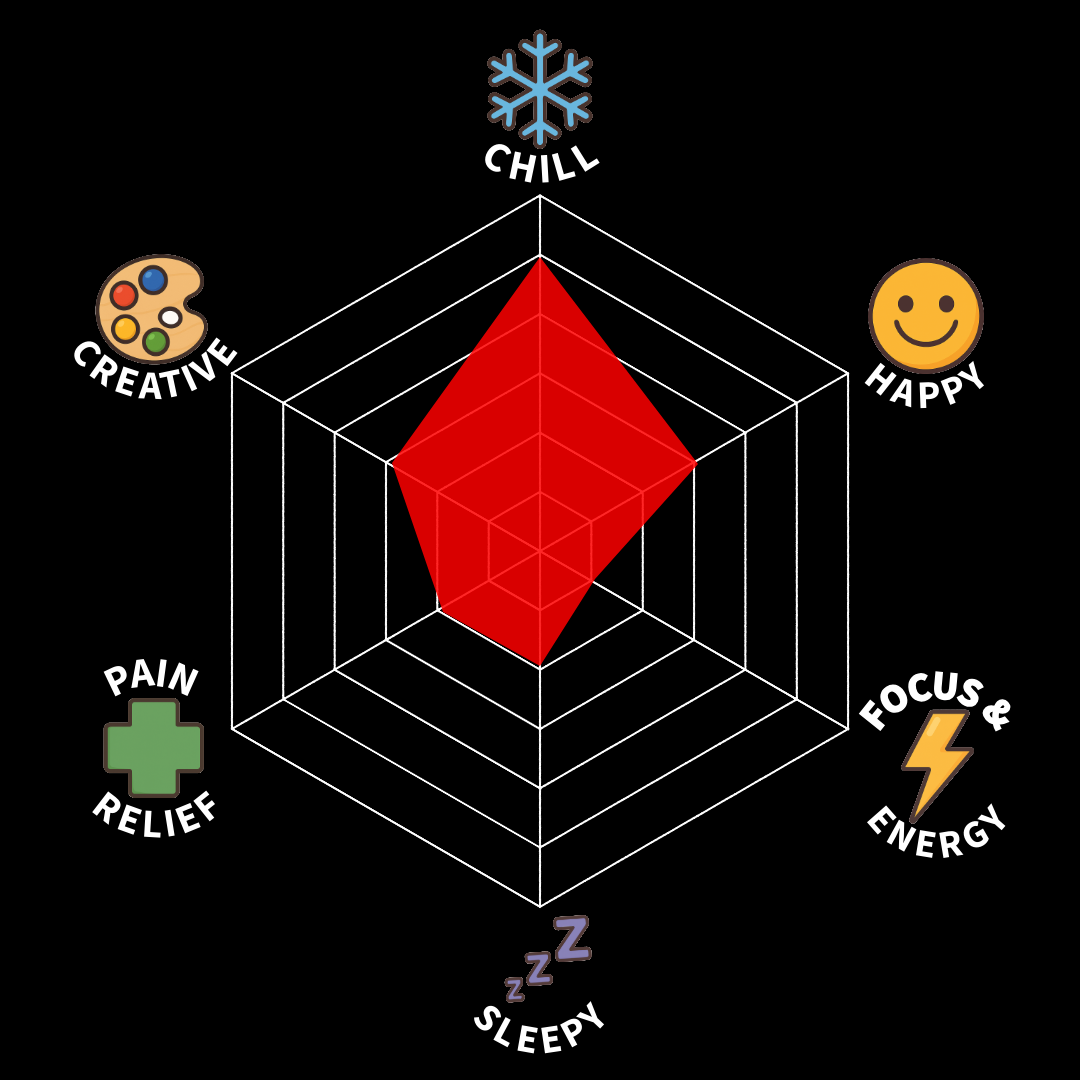 Radar chart depicting lifestyle factors with a focus on sleep, which is rated lowest, and higher ratings for personality traits like happy, creative, chill, and focus energy, with moderate pain relief.