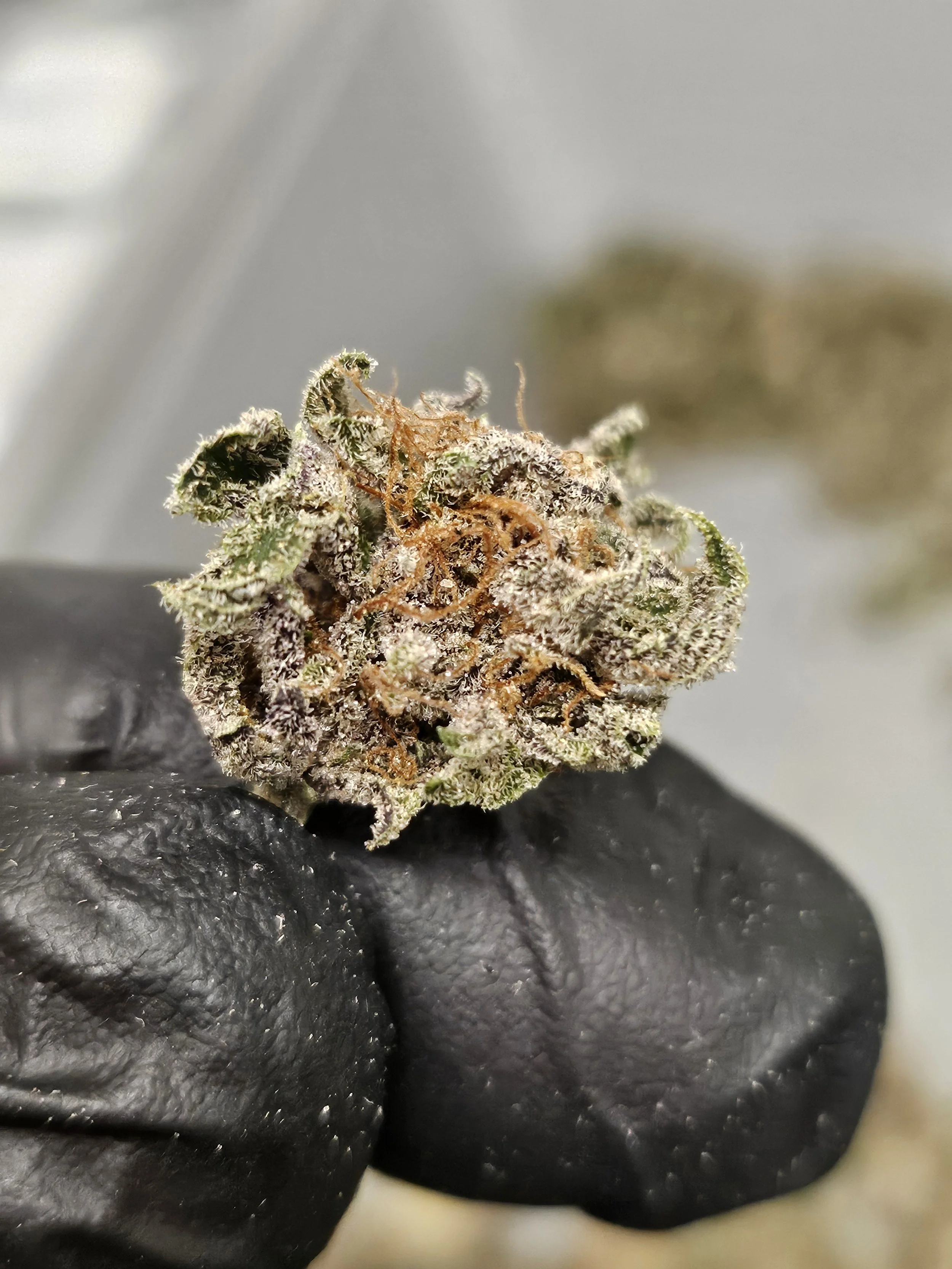 Close-up of a cannabis bud resting on black poker chips.