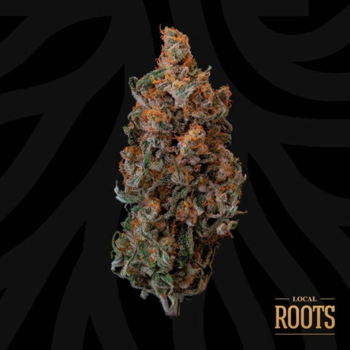 Close-up of a dense cannabis bud with orange hairs and purple-green hues against a black background with 'Local Roots' logo in the bottom right corner.
