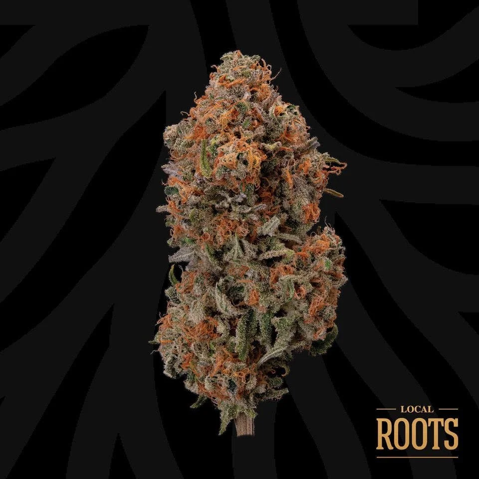 Close-up of a cannabis bud with orange hairs and frosty trichomes on a black background, with 'Local Roots' text in the bottom right corner.