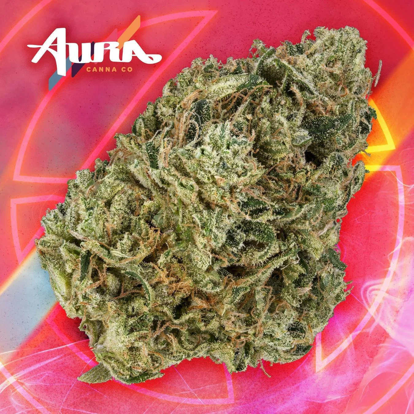 Close-up of a dense cannabis bud with green leaves, orange pistils, and frosty trichomes, against a vibrant pink and orange background with the words 'Aura Canna Co' in the top left corner.