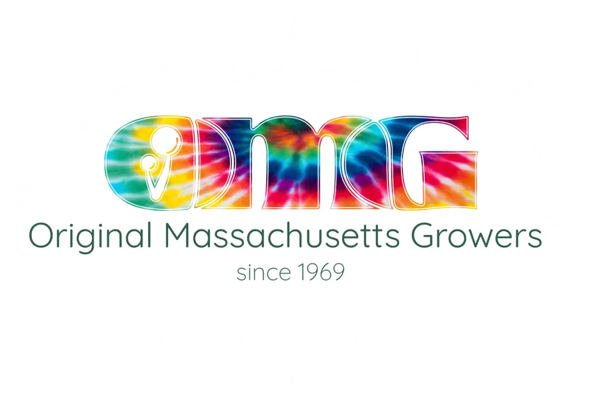 Colorful tie-dye text spelling 'DMG' with the phrase 'Original Massachusetts Growers since 1969' beneath, all within a white starburst background.