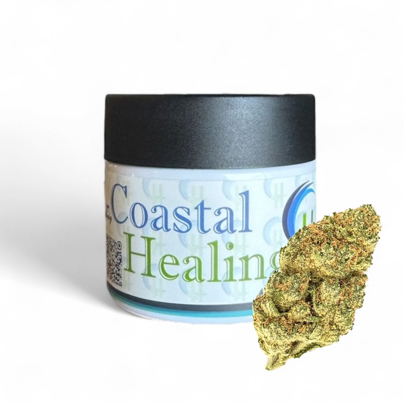 A jar labeled "Coastal Healing" next to a large cannabis bud.